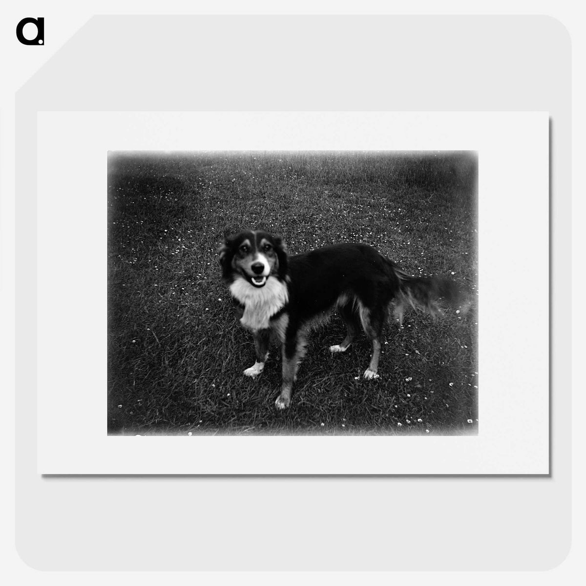 1-89_Leslie-Adkin_picture