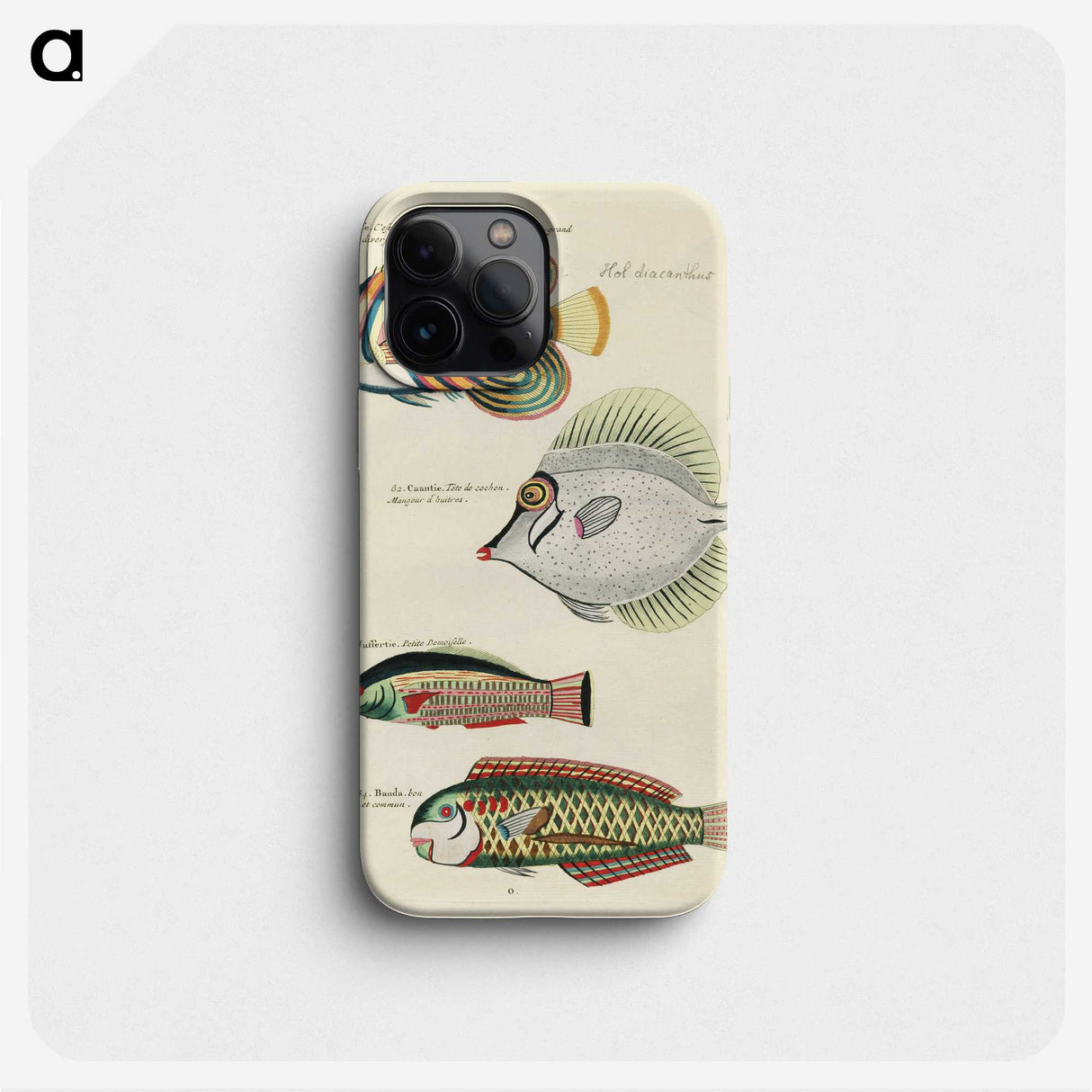 1-89_Louis-Renard_phone
