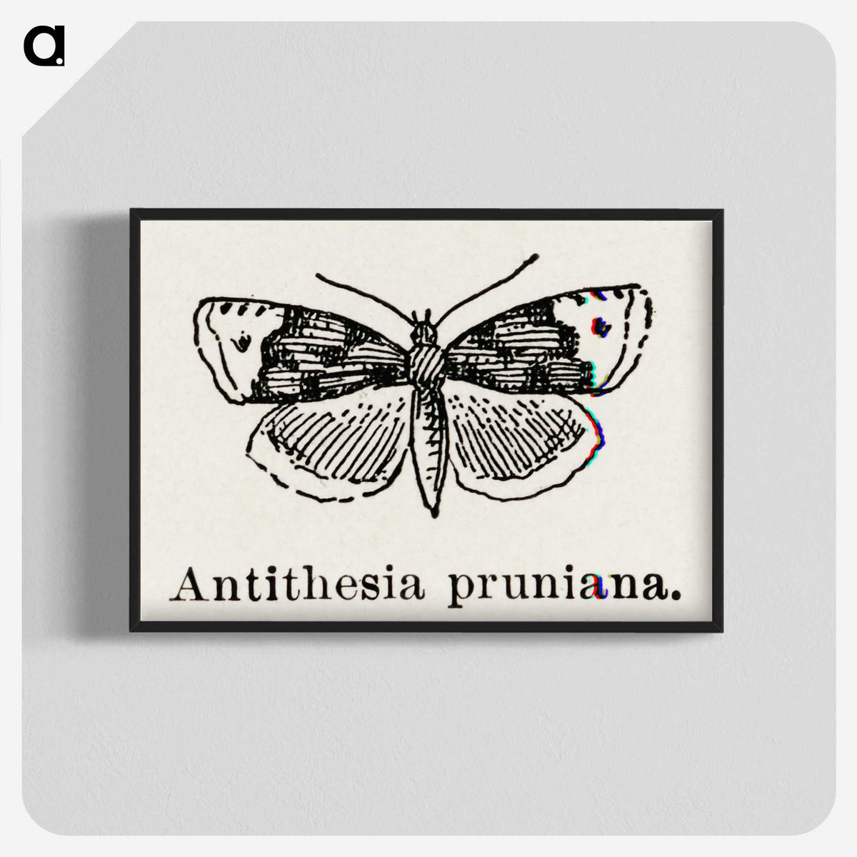 1-89_Moths-and-Butterflies-of-the-United-States_blk-crop