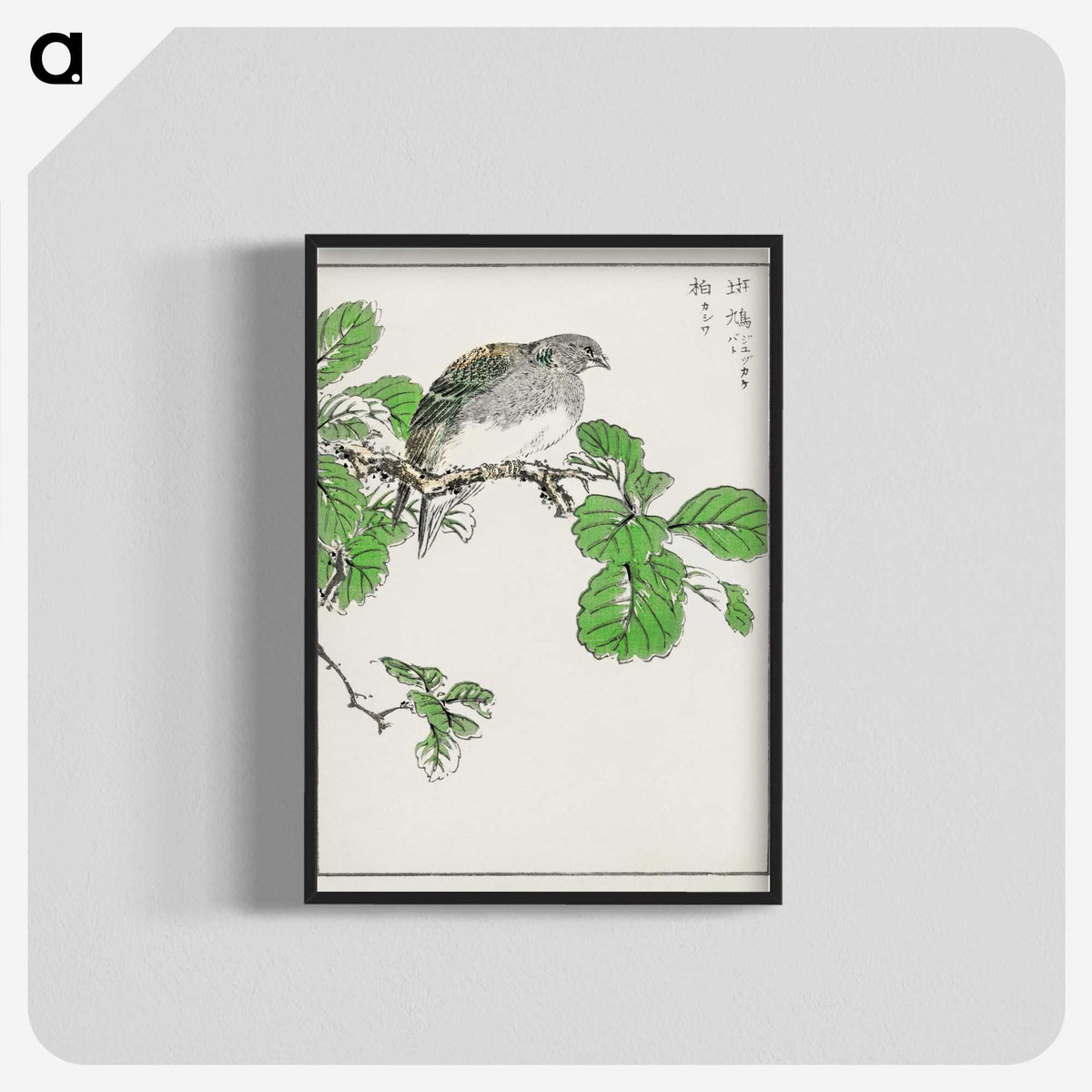 1-89_Pictorial-Monograph-of-Birds_blk-crop