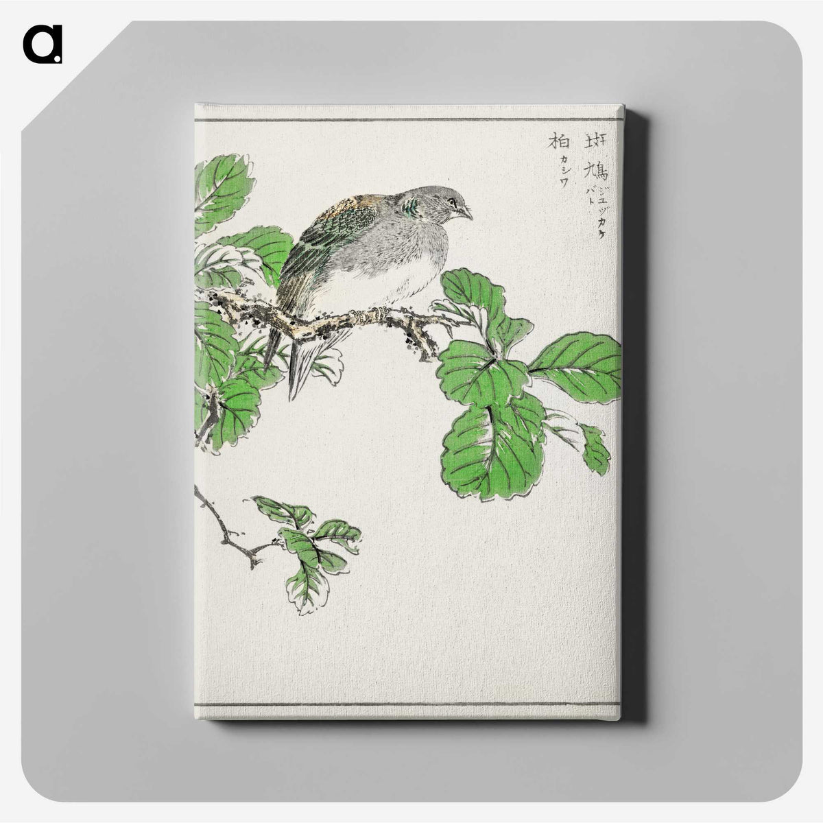 1-89_Pictorial-Monograph-of-Birds_canvas
