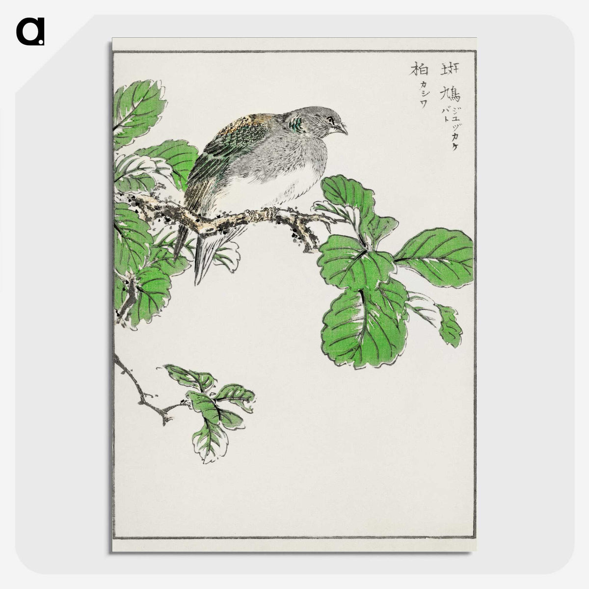 1-89_Pictorial-Monograph-of-Birds_picture-crop