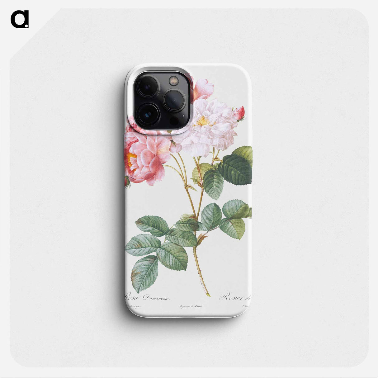 Rosa × damascena, Rosebush - Pierre Joseph Redouté Phone Case.