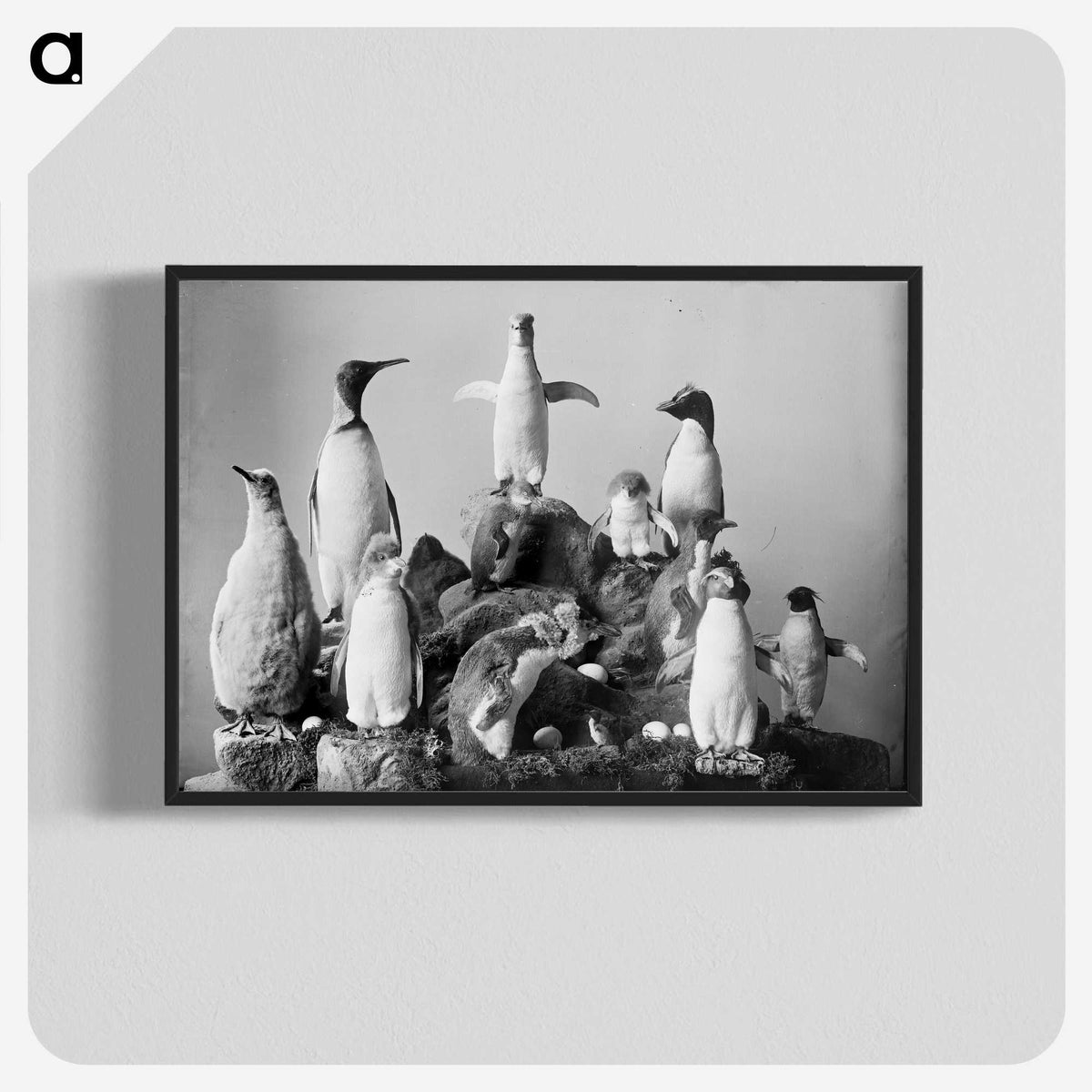 1-89_The-Burton-Brothers_blk-crop