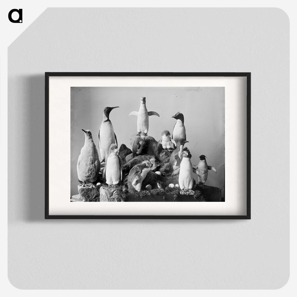 1-89_The-Burton-Brothers_blk