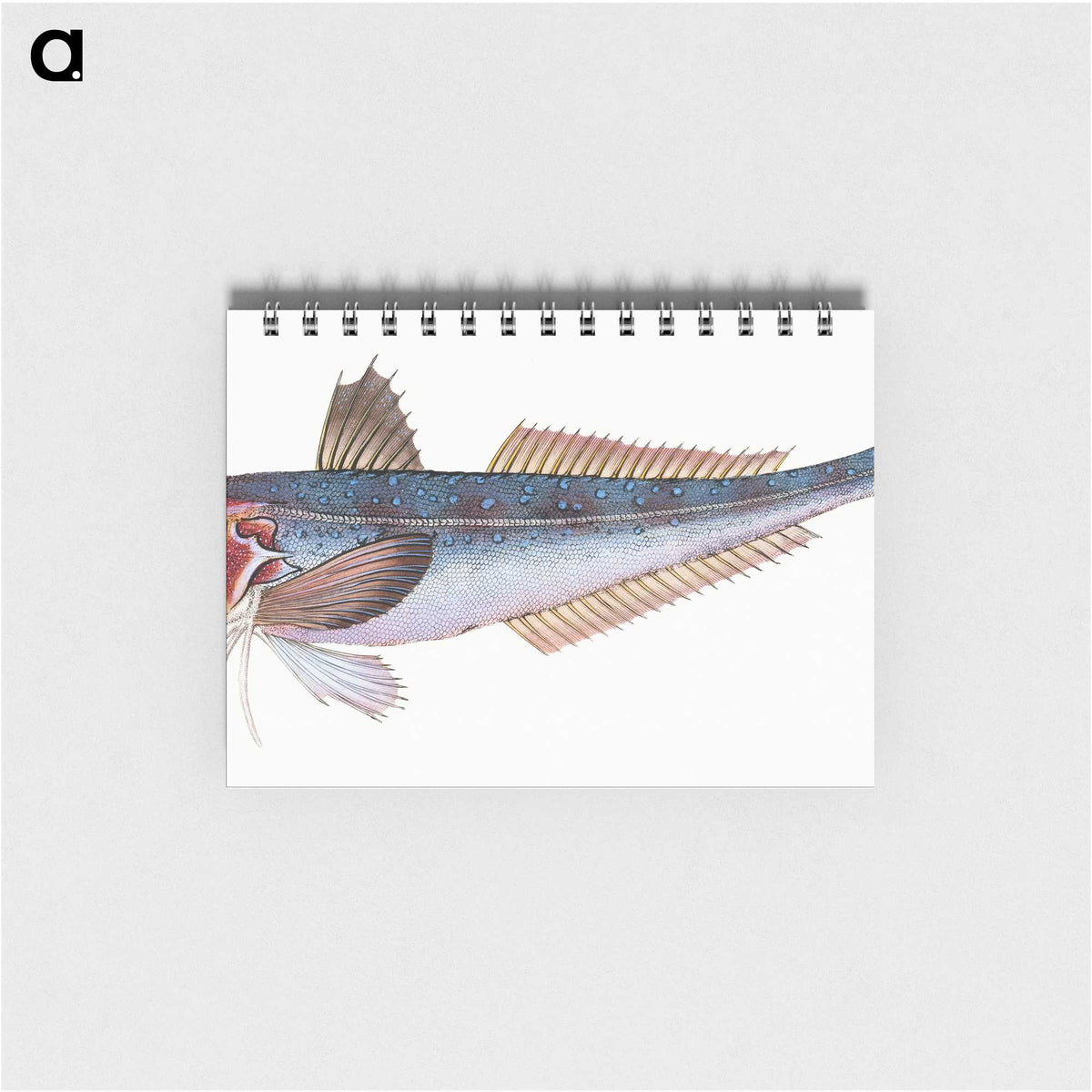 1-89_The-Natural-History-of-British-Fishes_memo