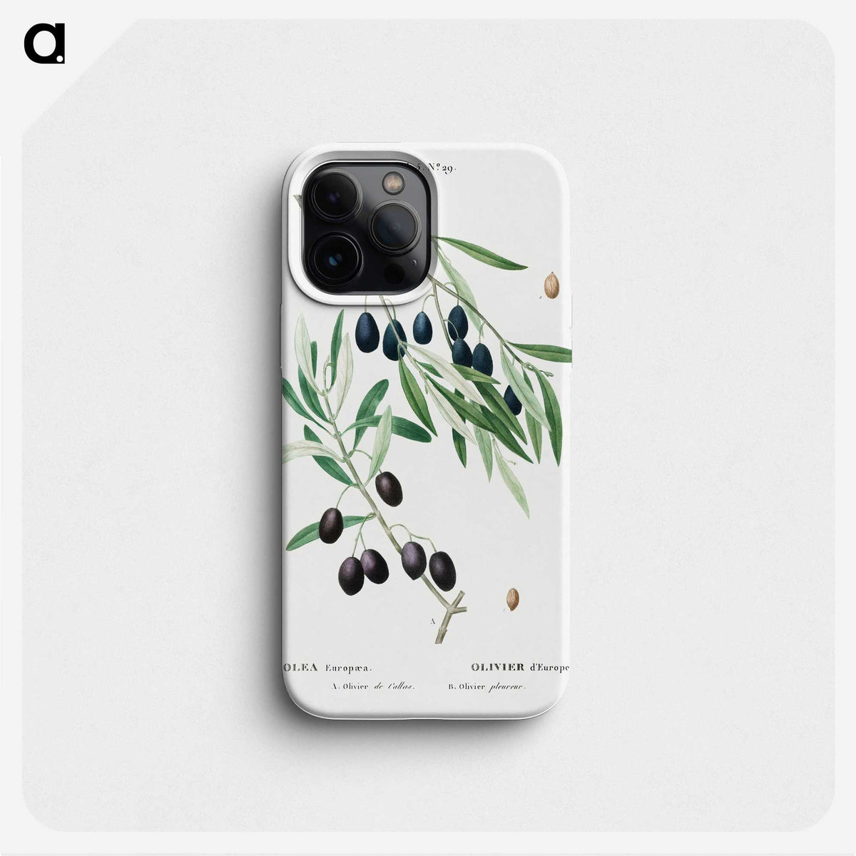 1-89_Treatise-on-Trees-and-Shrubs_phone