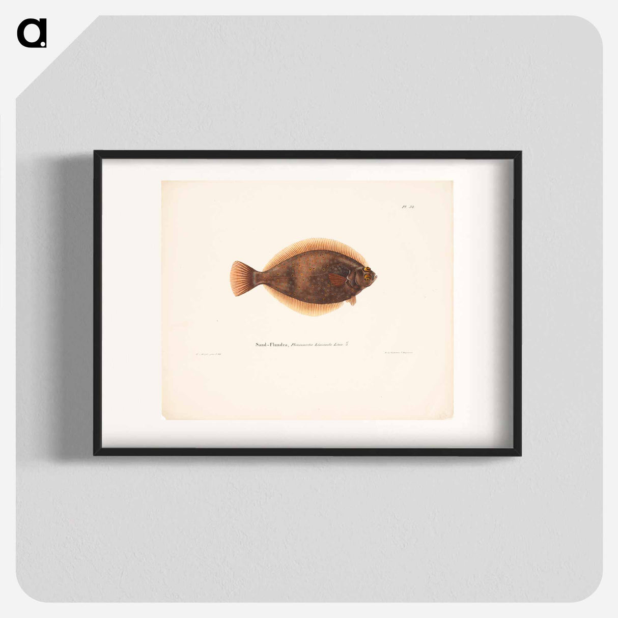 Dab - Wilhelm von Wright Poster.