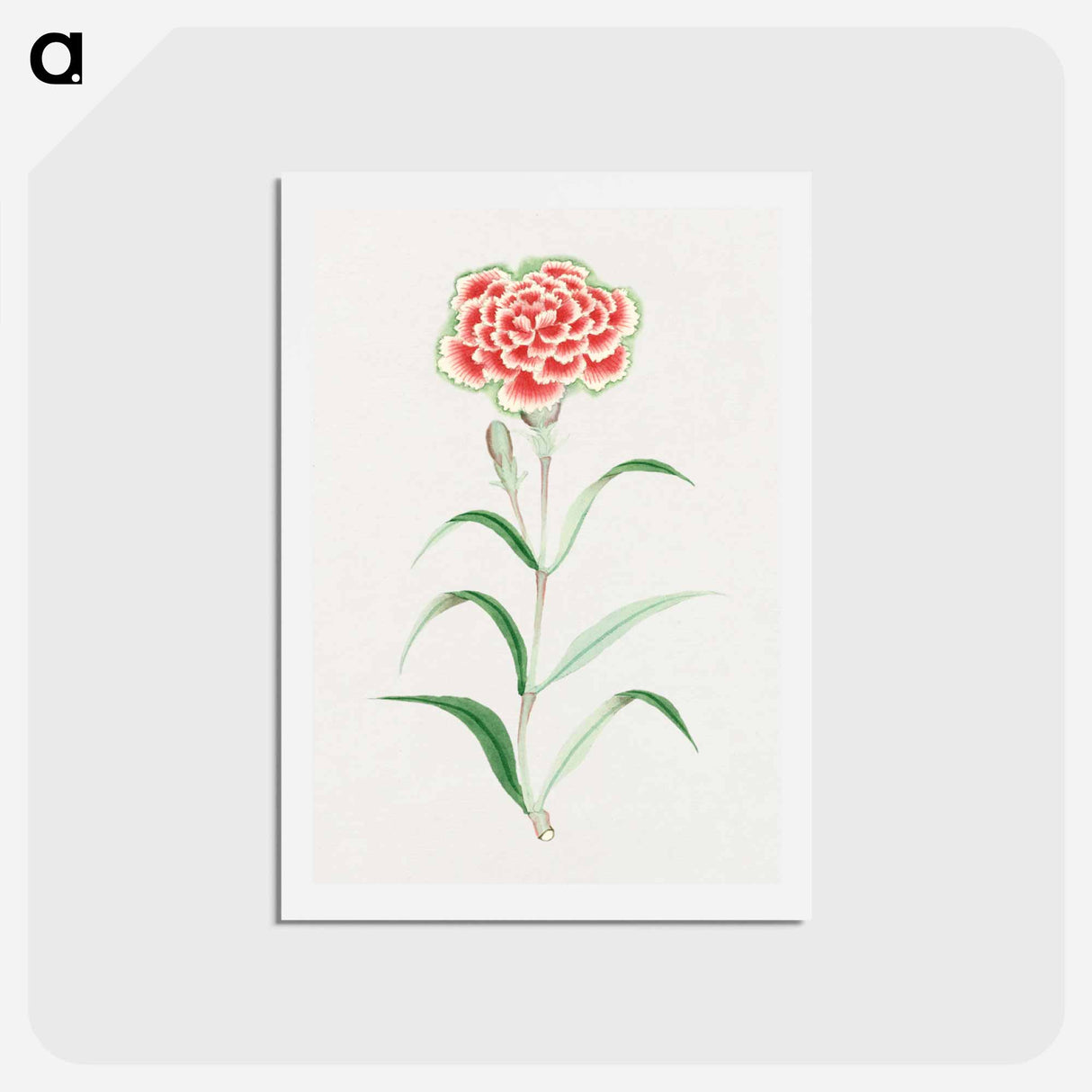 Nadeshiko - 19世紀の日本の花 Postcard.