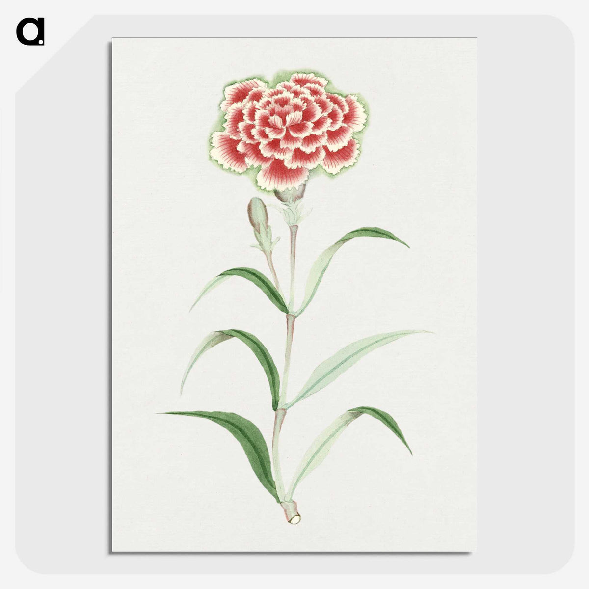 1-8_19th-Century-Japanese-Flowers_picture-crop