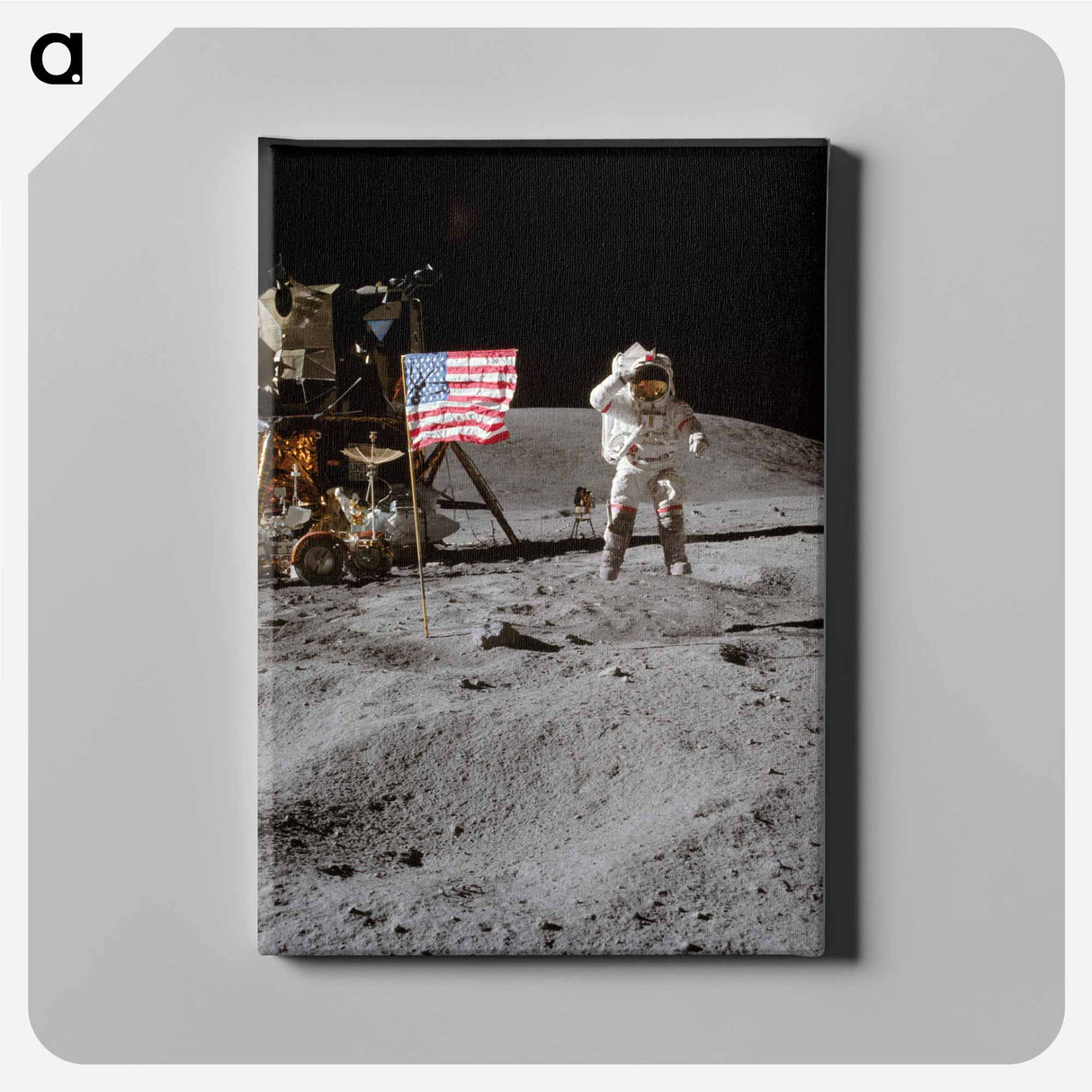 アートパネル-Apollo 16 - アポロ月面着陸 Canvas.