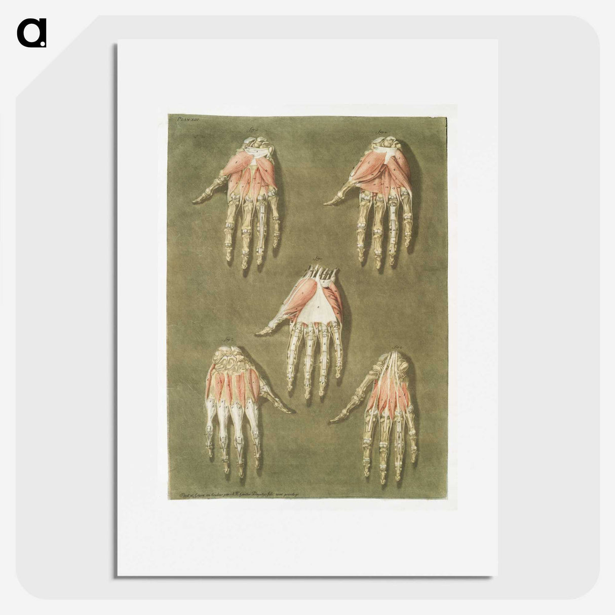 1-8_Arnauld-Eloi-Gautier-Dagoty_picture