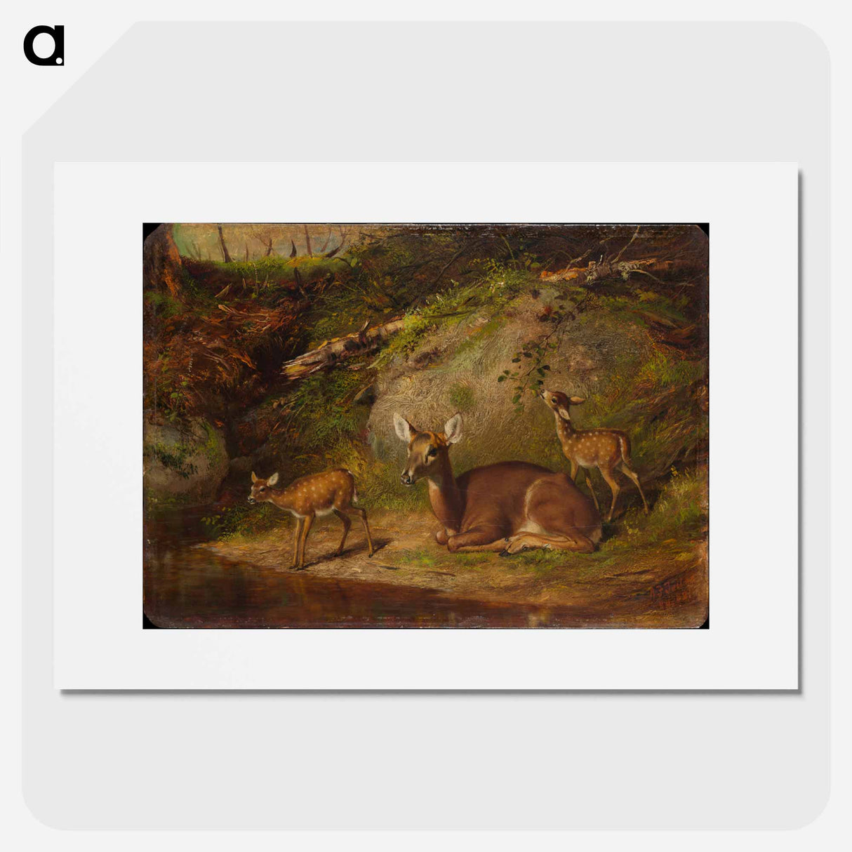Doe and Two Fawns - アーサー フィッツウィリアム テイト Poster.