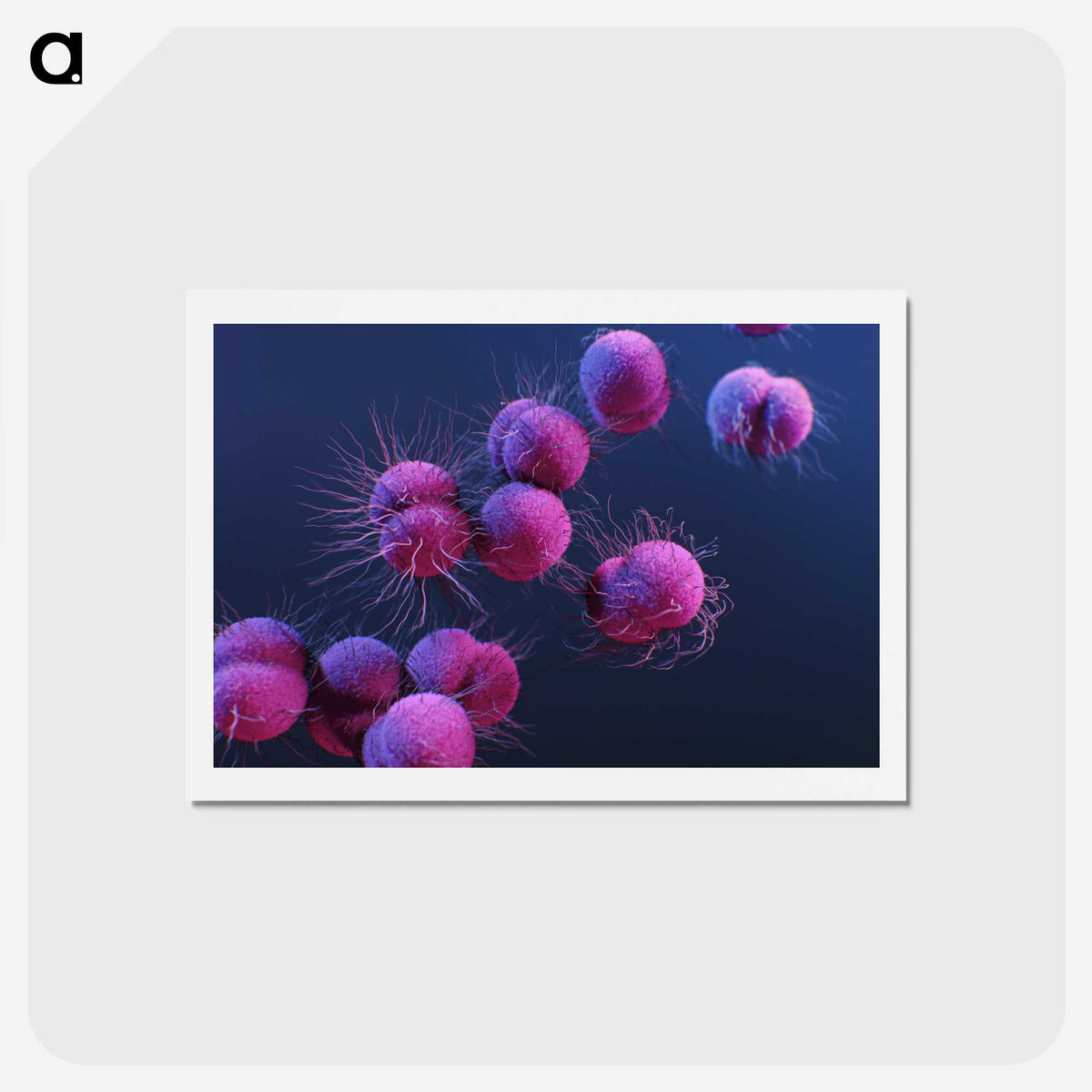 1-8_COVID-19_hagaki