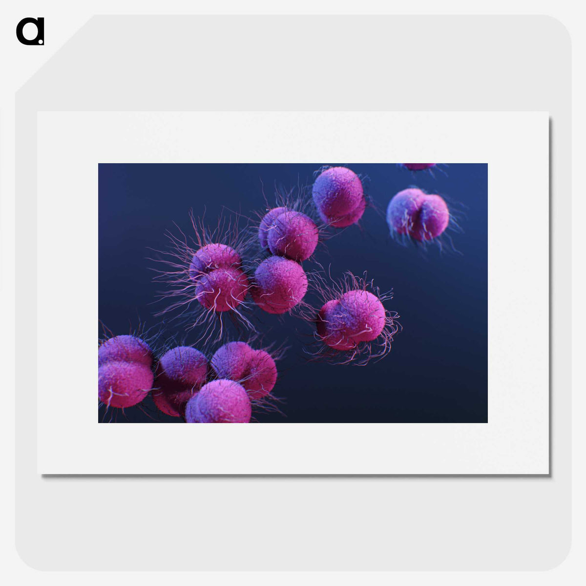 1-8_COVID-19_picture