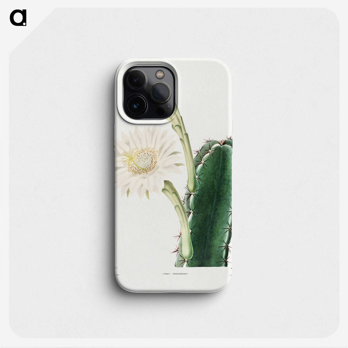 1-8_Charles-Antoine-Lemaire_phone