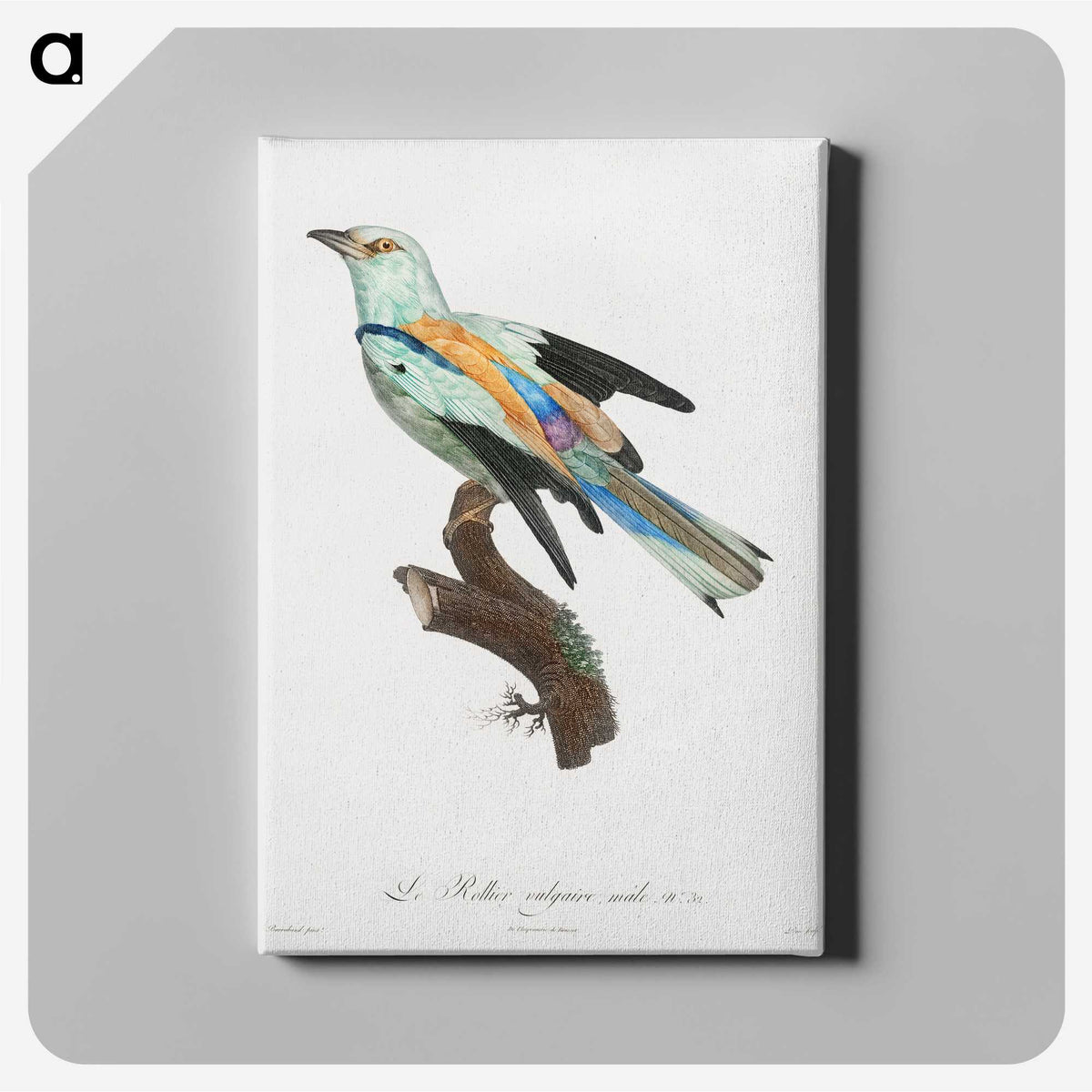 1-8_Des-Oiseaux-de-Paradis_canvas