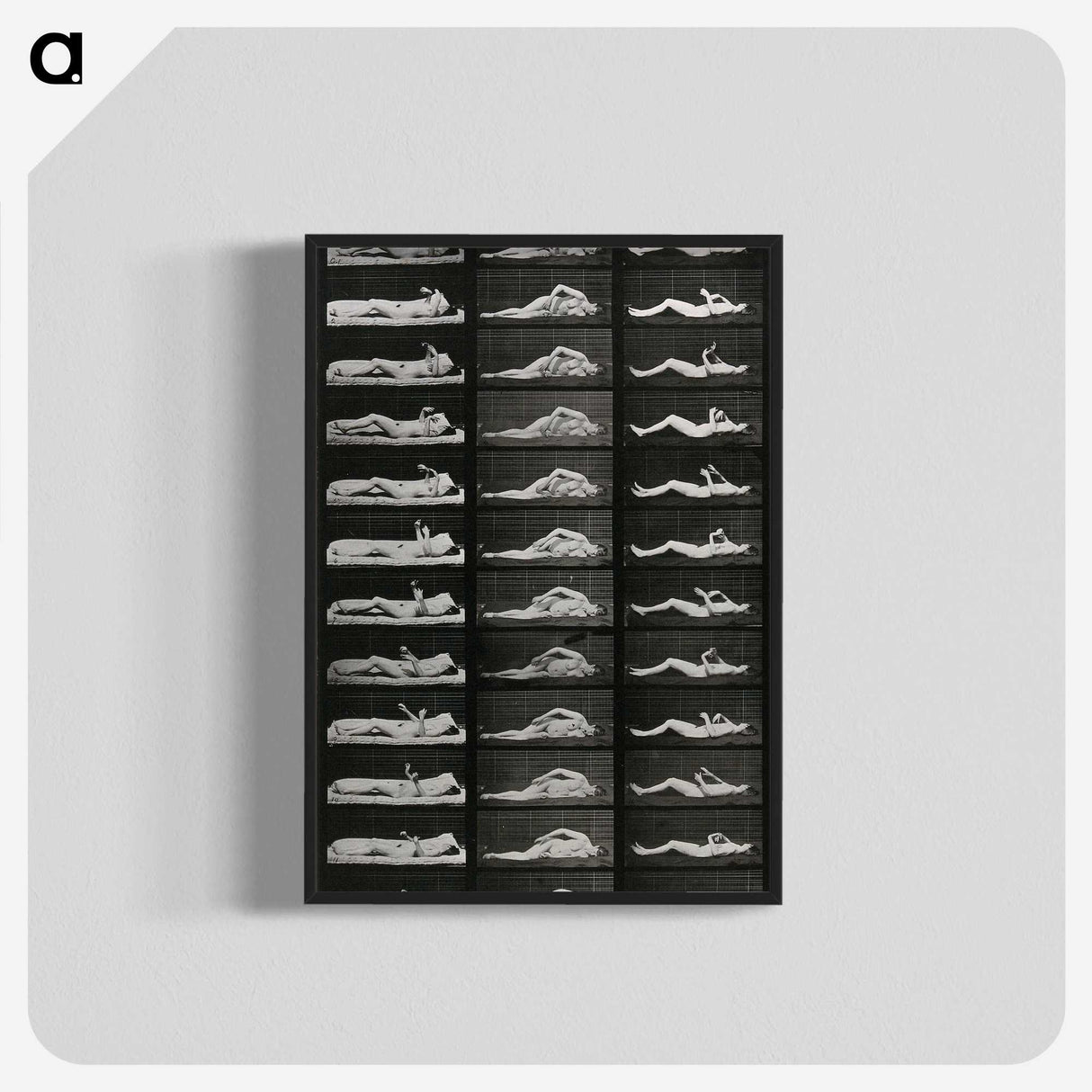 1-8_Eadweard-Muybridge_blk-crop