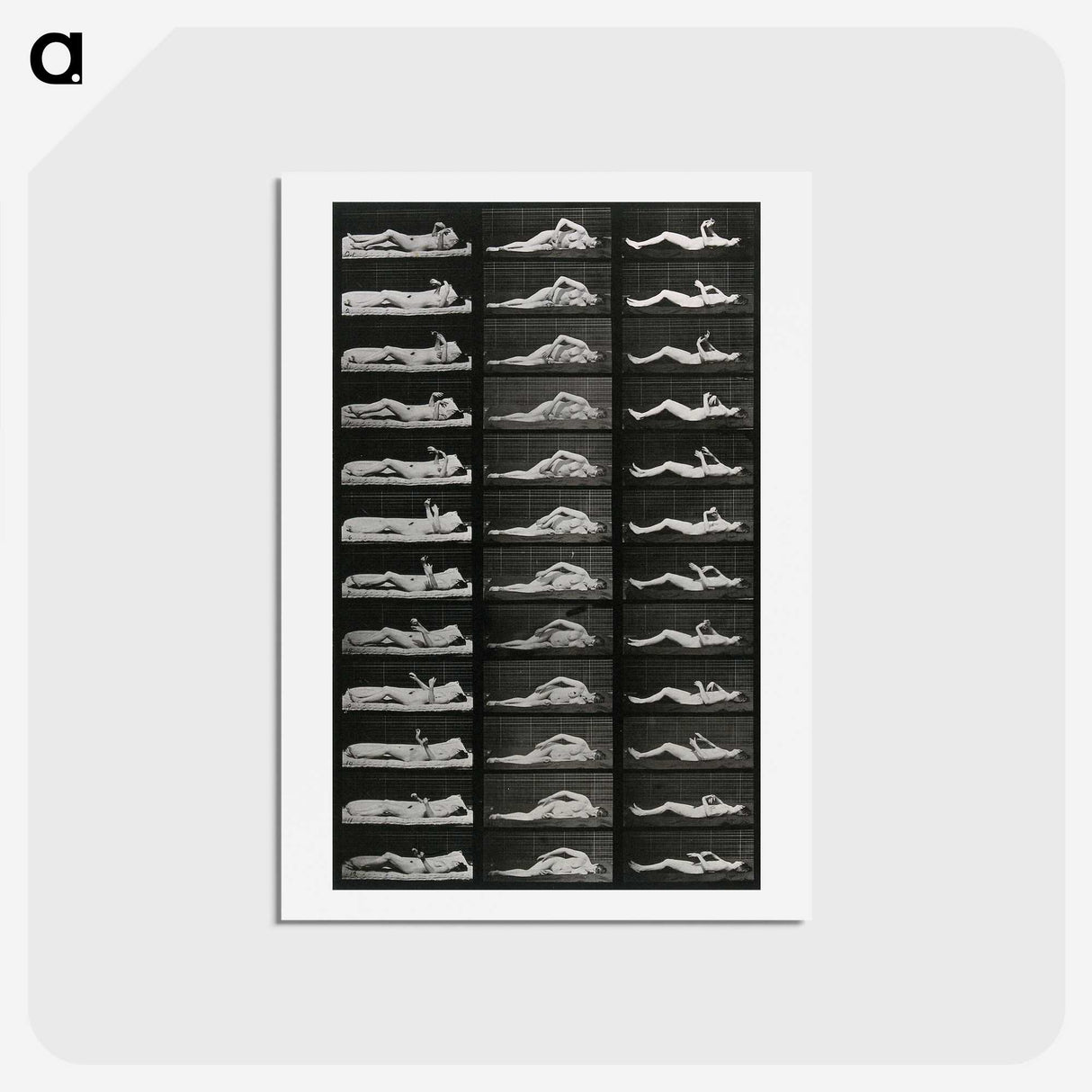 1-8_Eadweard-Muybridge_hagaki