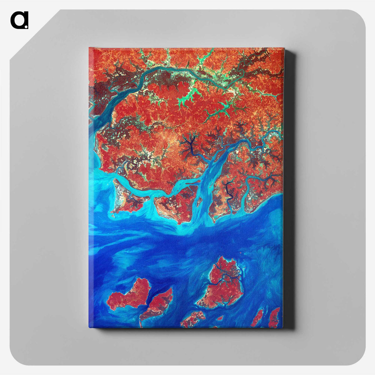 1-8_Earth-from-Above_canvas