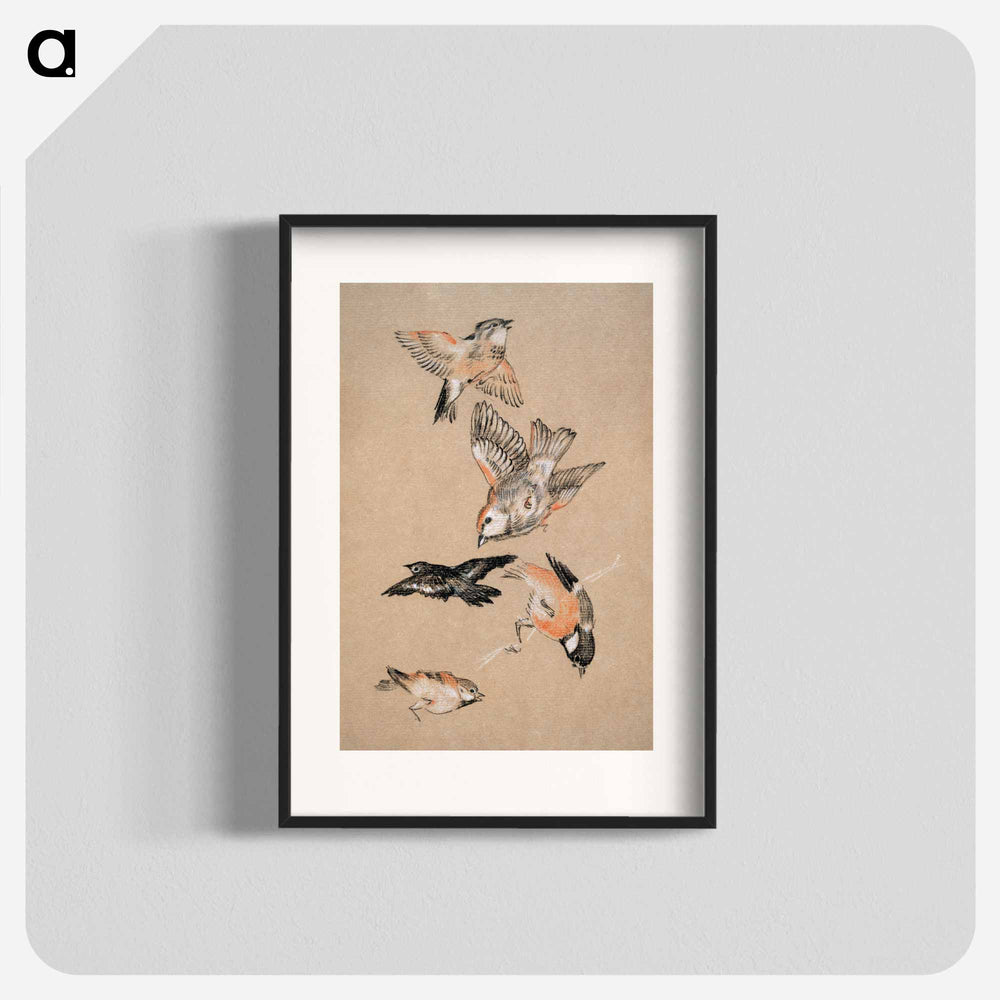 Love leading the Pilgrim - Study of Birds: Finches - エドワード バーン ジョーンズ Poster.