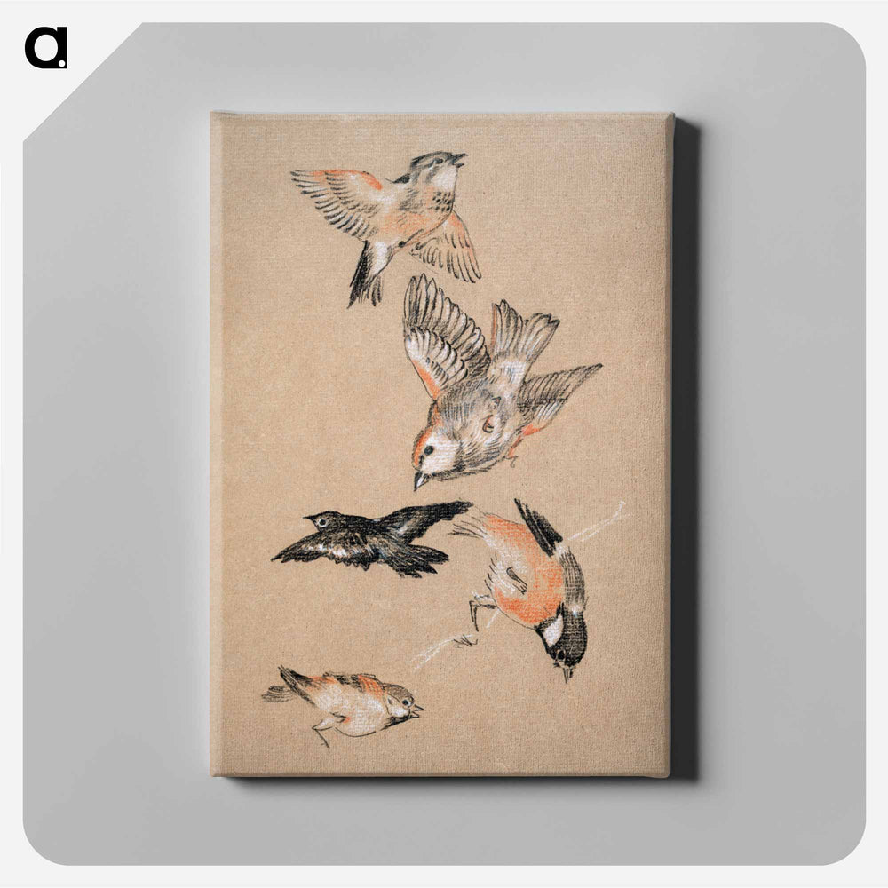 Love leading the Pilgrim - Study of Birds: Finches - エドワード バーン ジョーンズ Canvas.