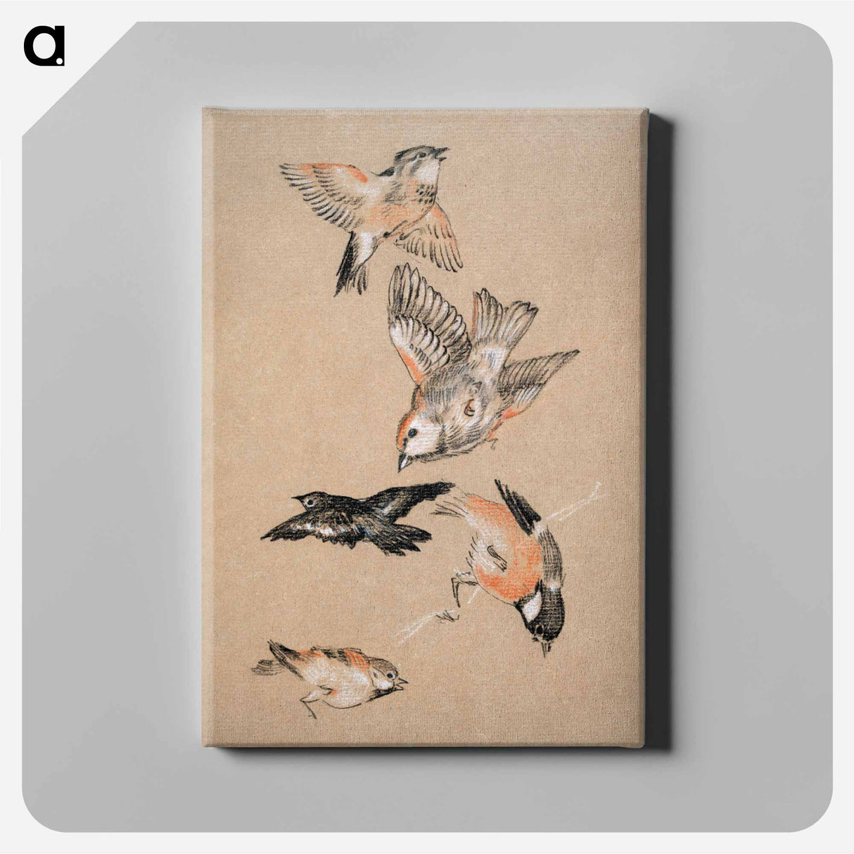 Love leading the Pilgrim - Study of Birds: Finches - エドワード バーン ジョーンズ Canvas.