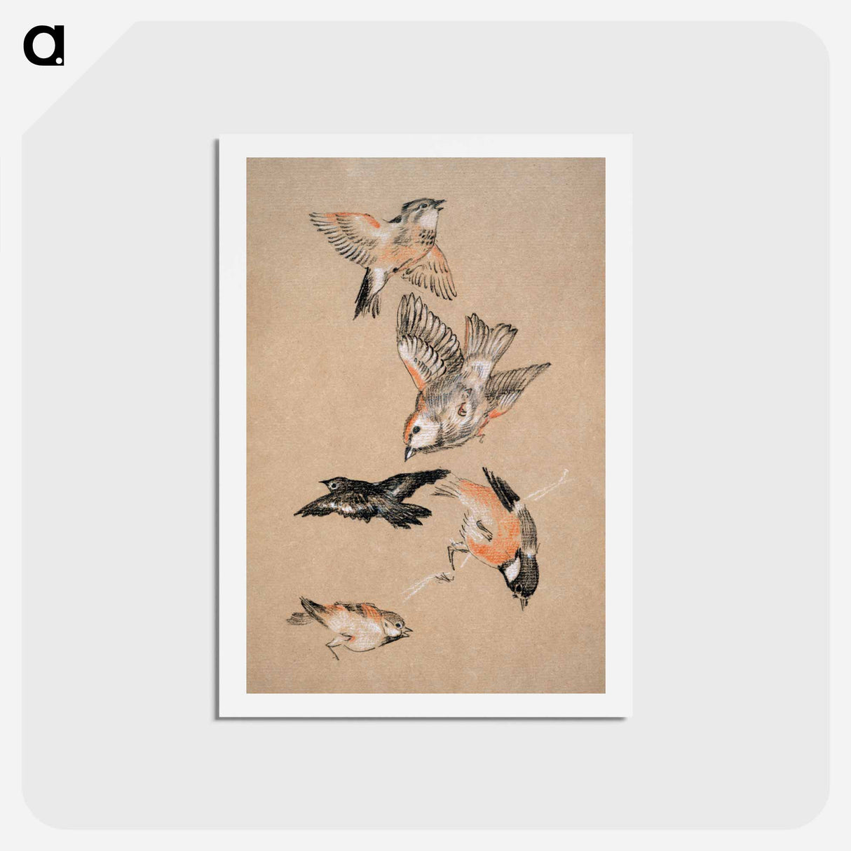 アートポストカード-Love leading the Pilgrim - Study of Birds: Finches - エドワード バーン ジョーンズ Postcard.