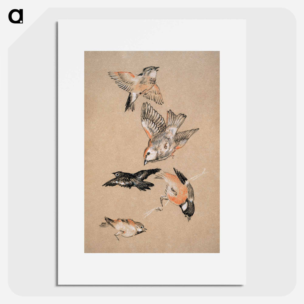 Love leading the Pilgrim - Study of Birds: Finches - エドワード バーン ジョーンズ Poster.
