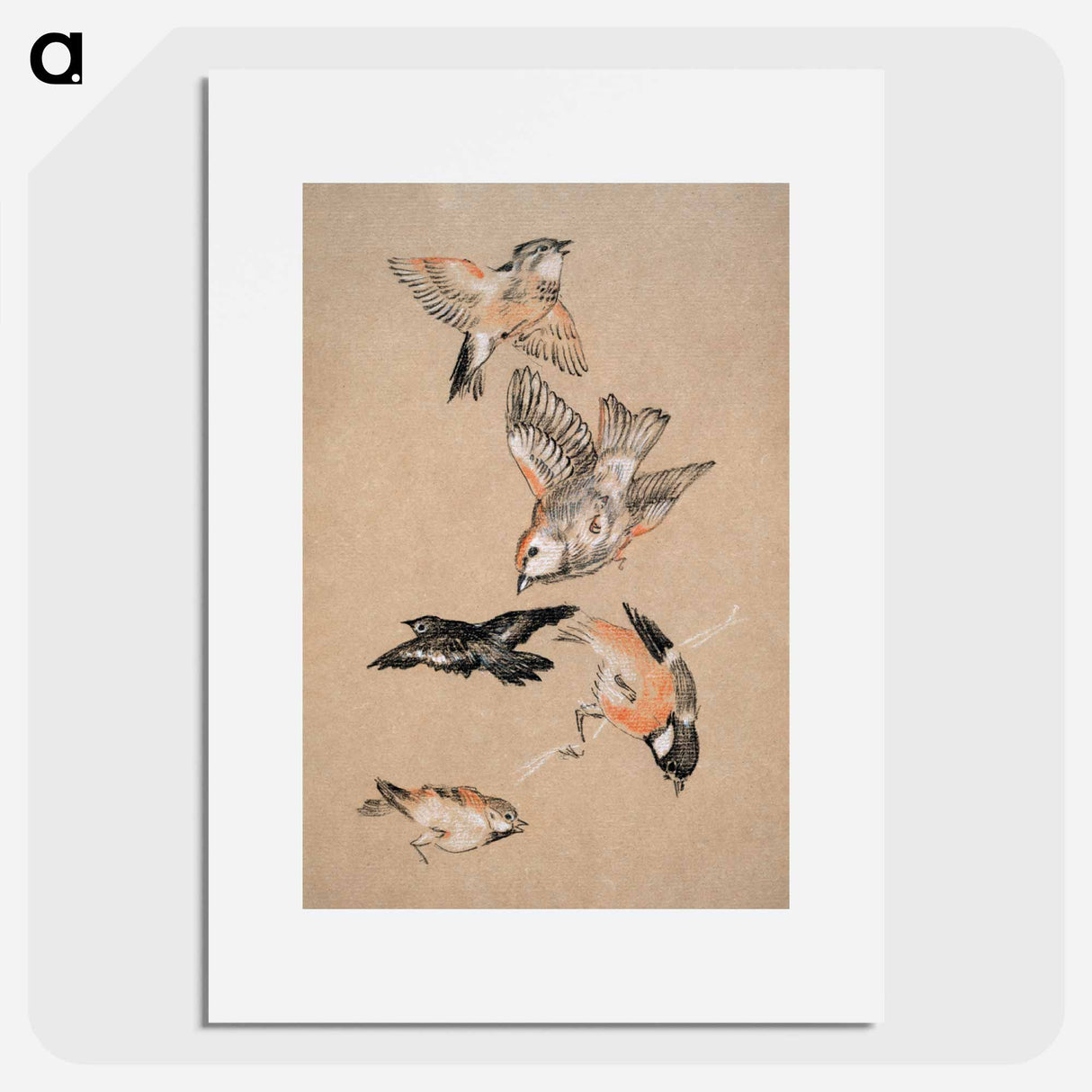 Love leading the Pilgrim - Study of Birds: Finches - エドワード バーン ジョーンズ Poster.