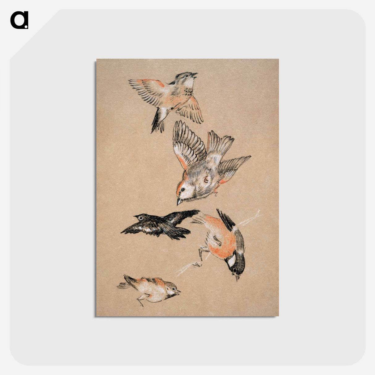 アートポストカード-Love leading the Pilgrim - Study of Birds: Finches - エドワード バーン ジョーンズ Postcard.