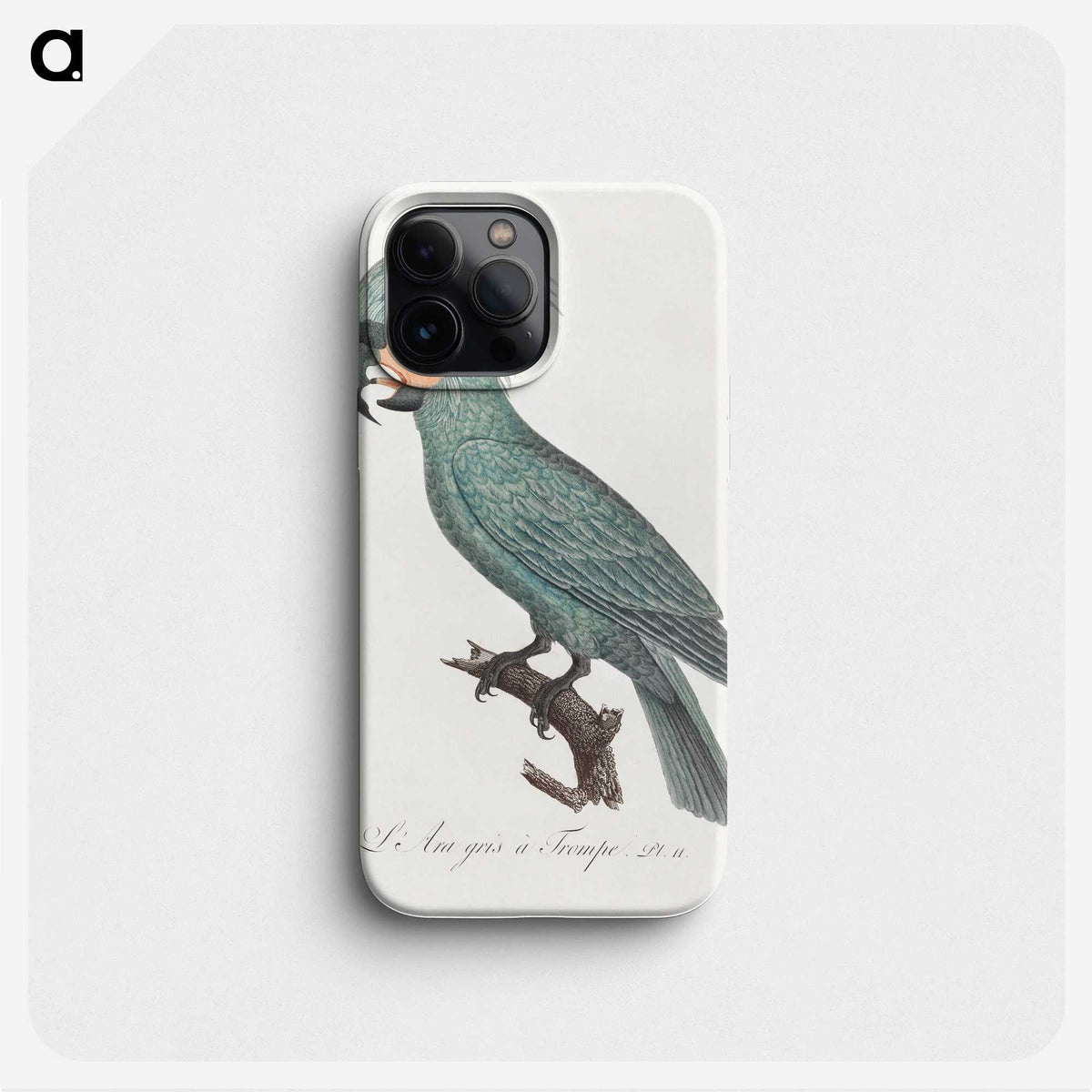 1-8_Francois-Levaillant_phone