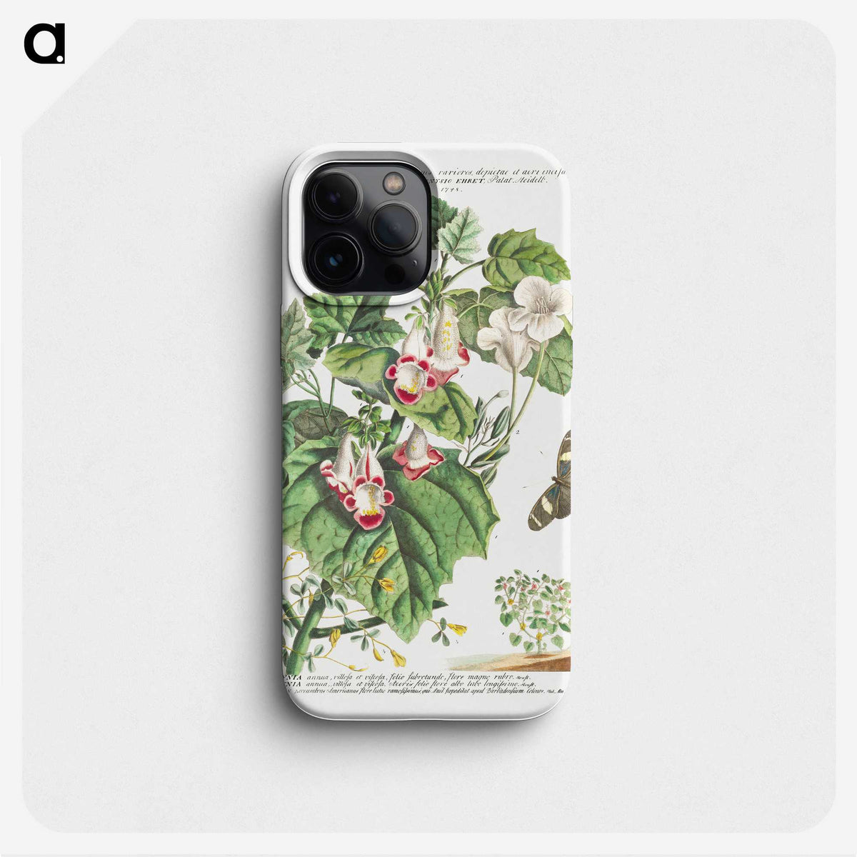 1-8_Georg-Dionysius-Ehret_phone