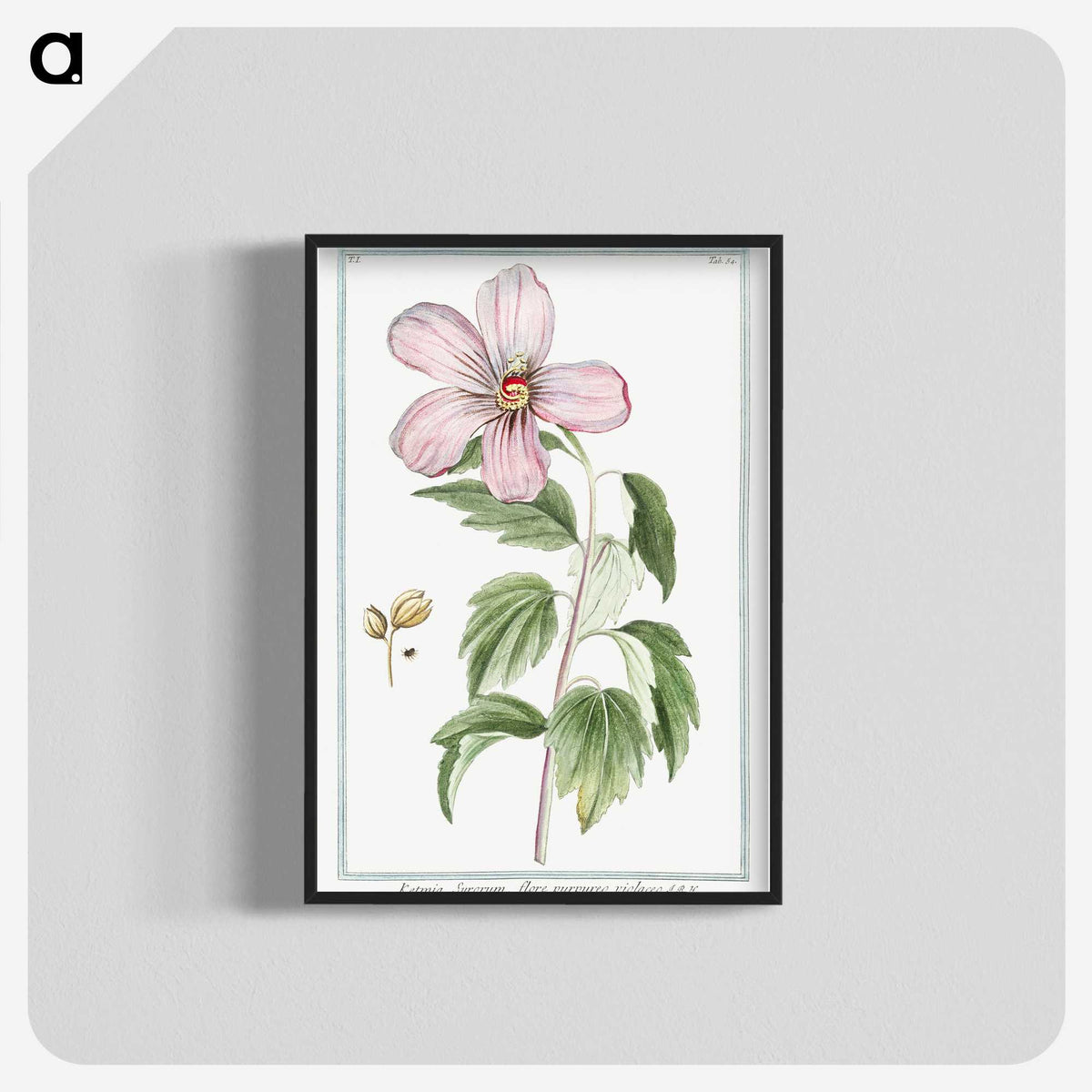 1-8_Hortus-Romanus-Botanical-Plates_blk-crop