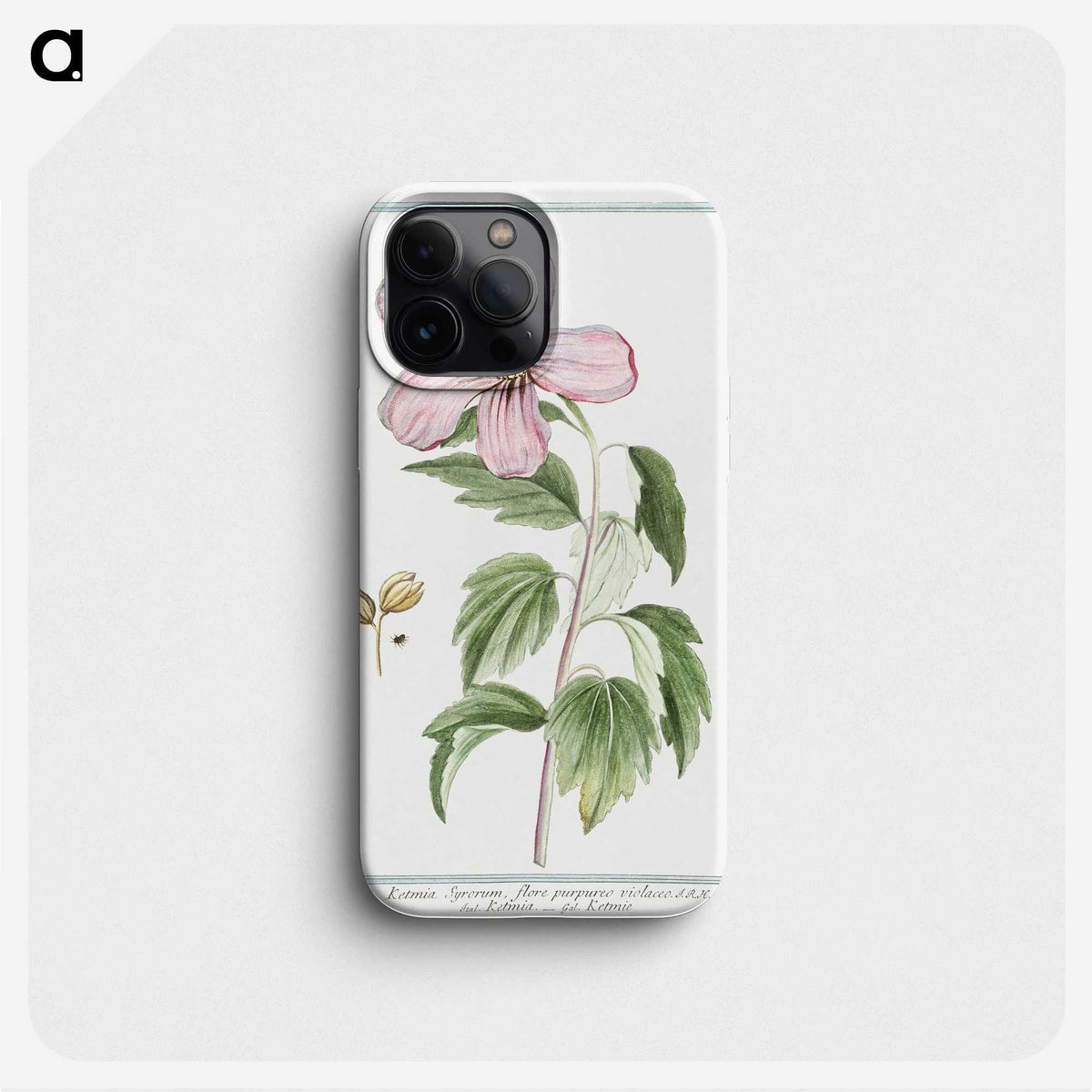 1-8_Hortus-Romanus-Botanical-Plates_phone