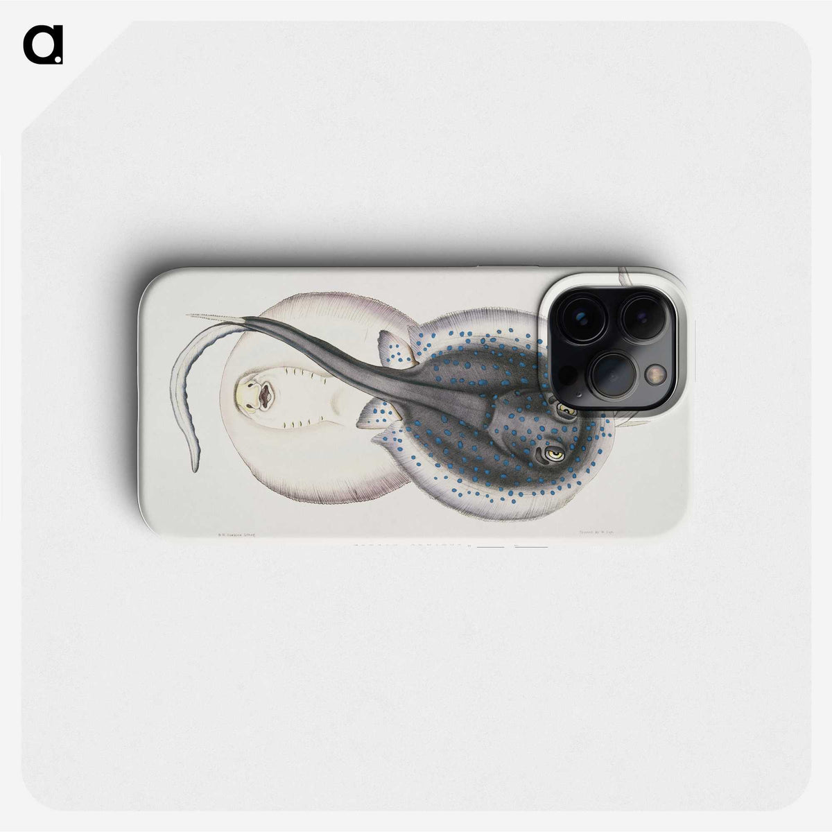 1-8_Indian-Zoology_phone