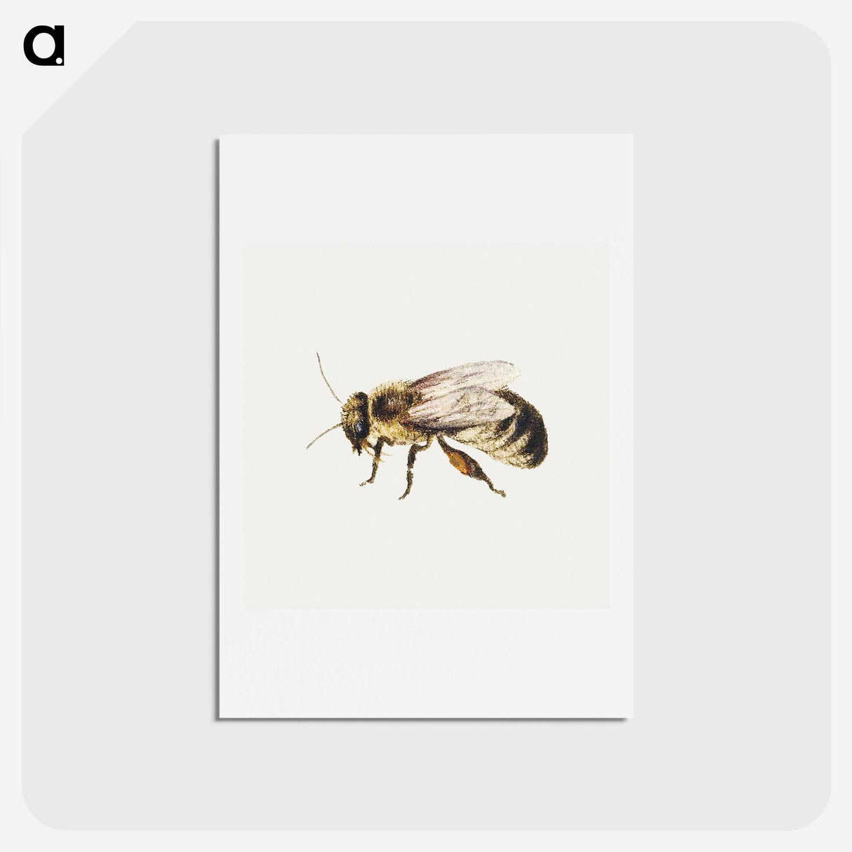 1-8_Jan-Van-Kessel_hagaki