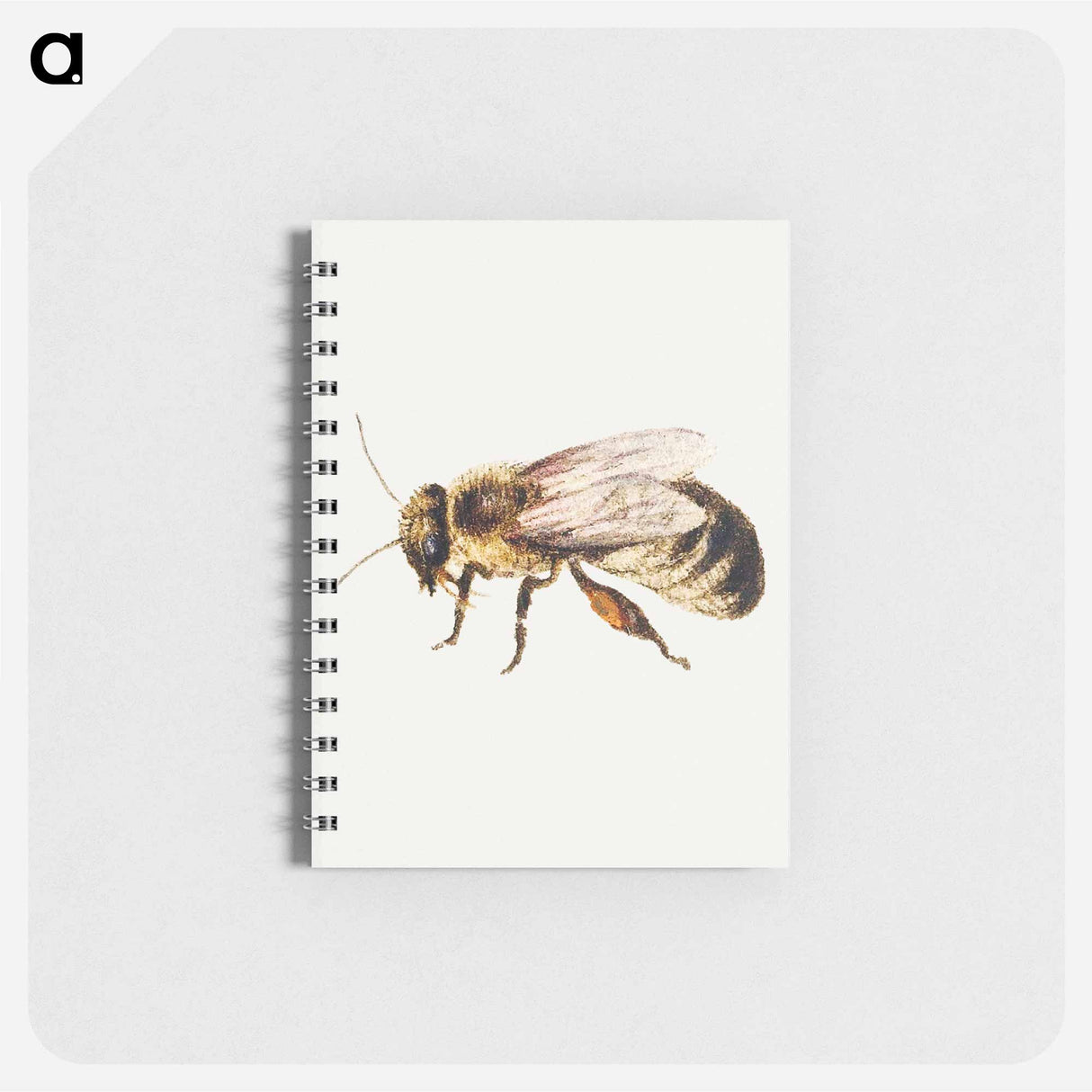 アートメモ帳-Bee from Sheet of Studies of Nine Insects
- ヤン ファン ケッセル Memo.