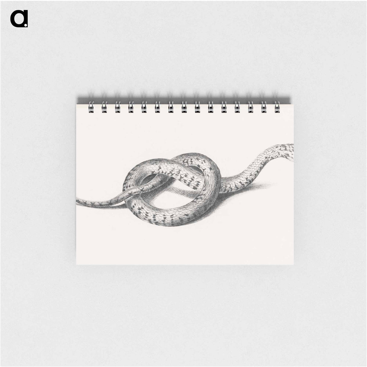 Slang - ジャン ベルナール Memo.