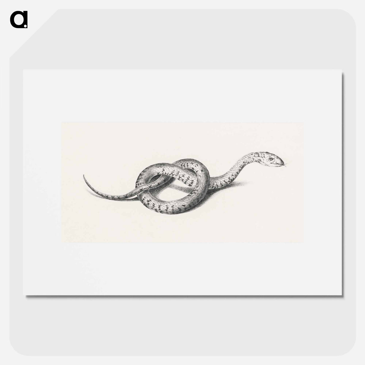 Slang - ジャン ベルナール Poster.