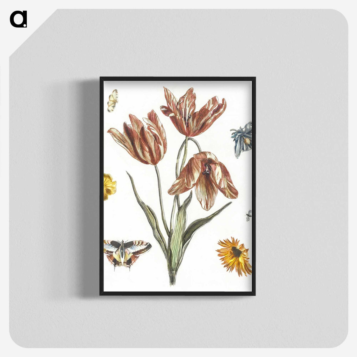 1-8_Johan-Teyler_blk-crop