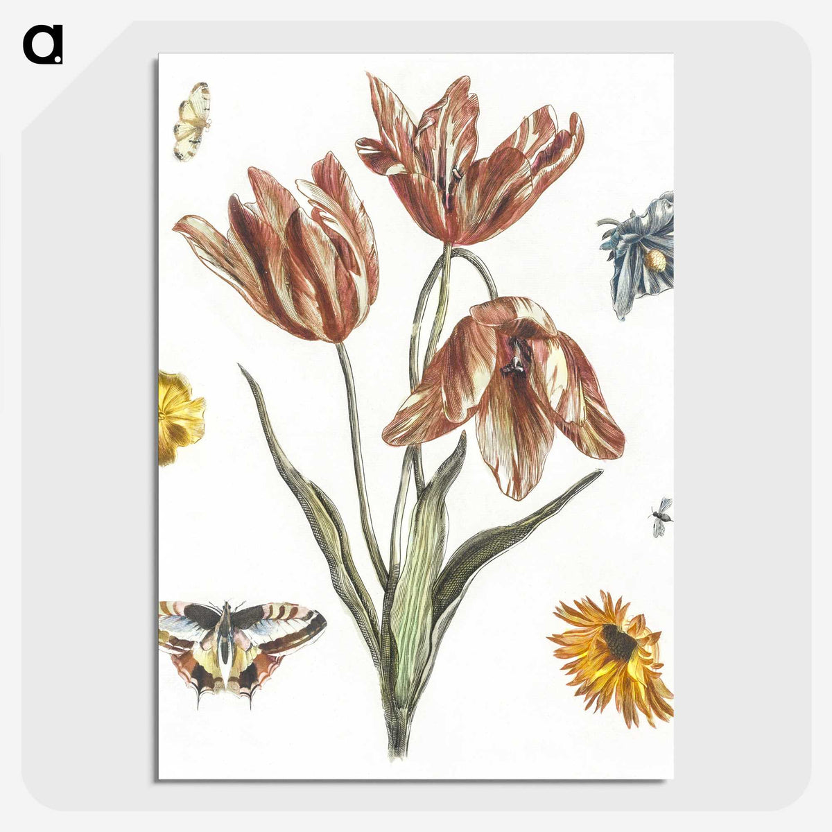 1-8_Johan-Teyler_picture-crop