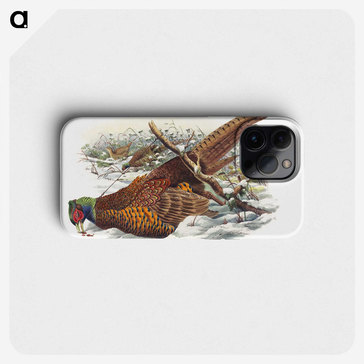 1-8_John-Gould_phone