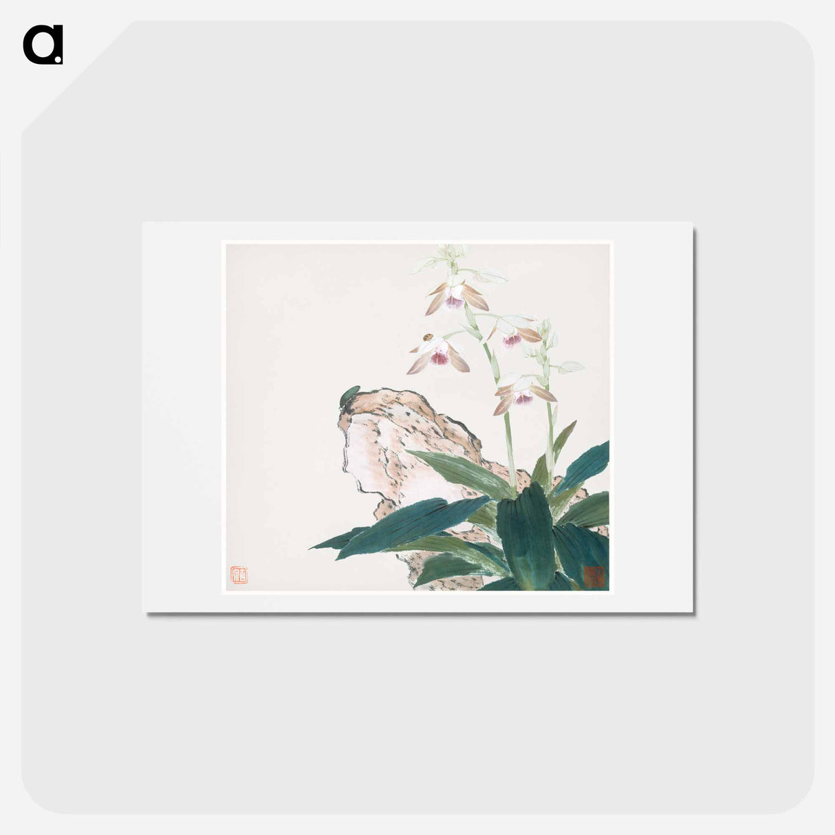 Insects and Flowers
- ジュ リアン Postcard.