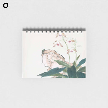 Insects and Flowers
 - ジュ リアン Memo.