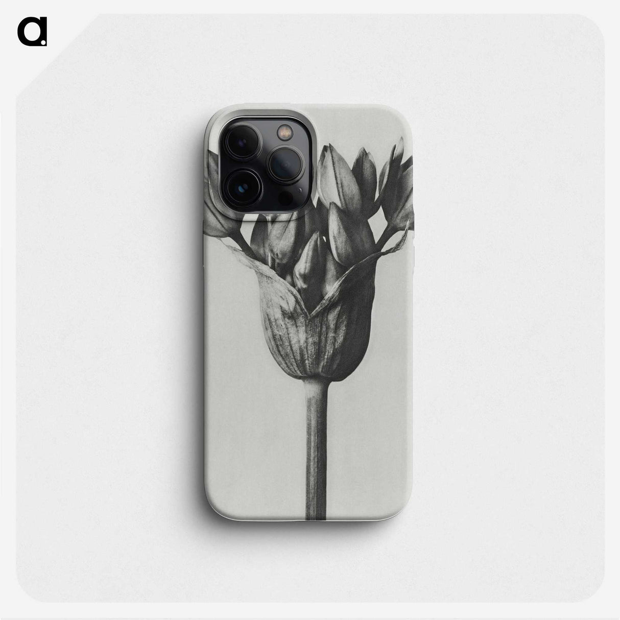 1-8_Karl-Blossfeldt_phone