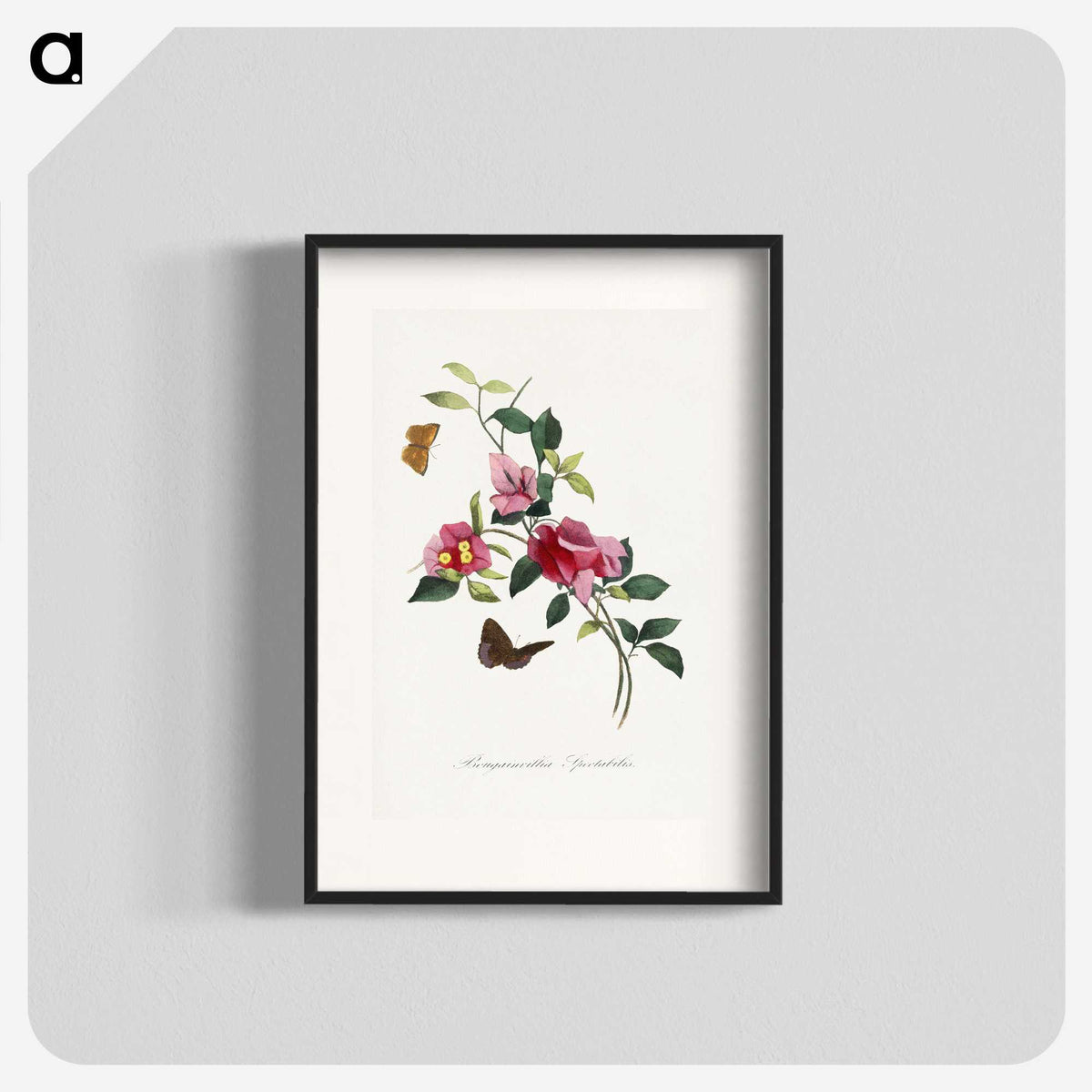 1-8_Le-Jardin-des-Plantes_blk