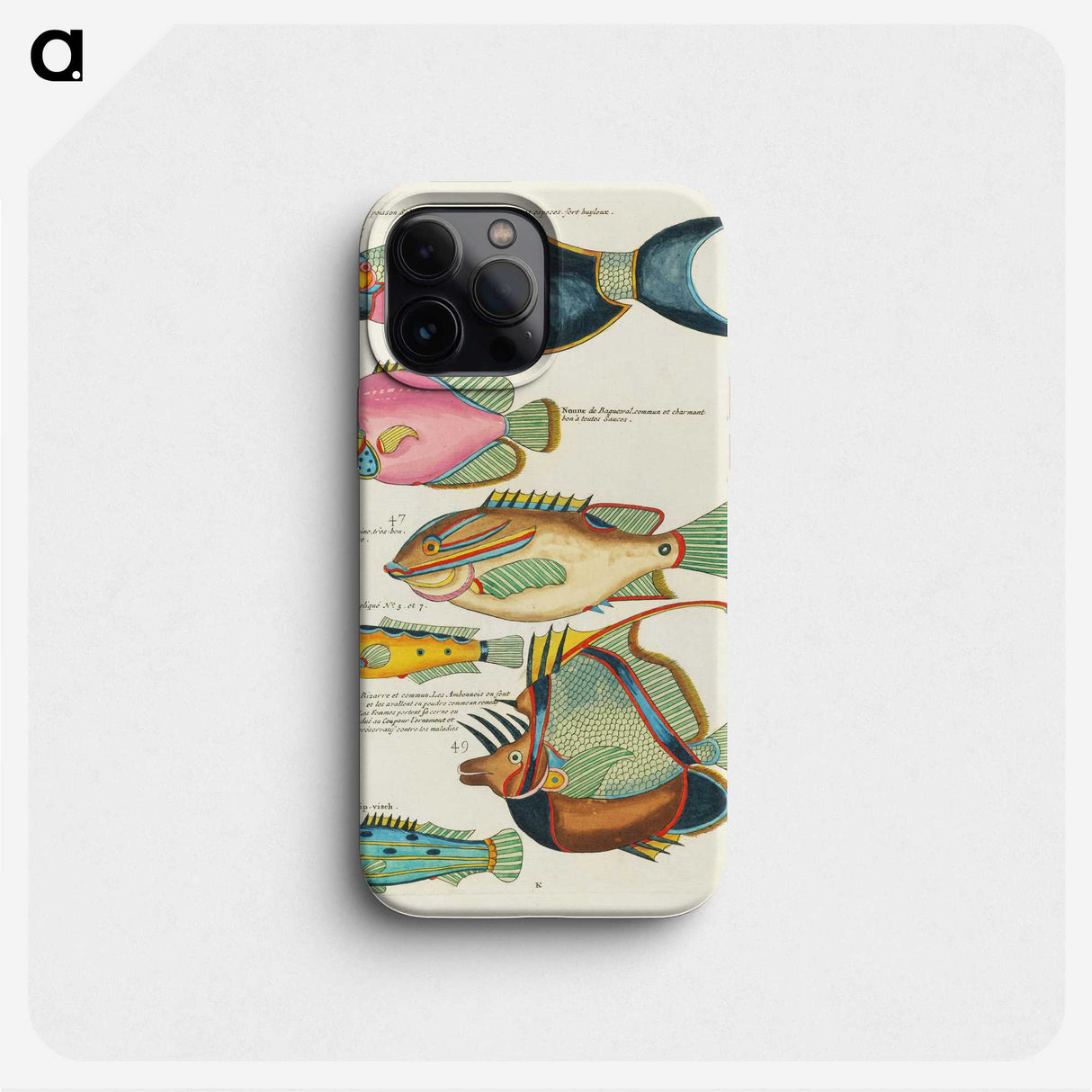 1-8_Louis-Renard_phone