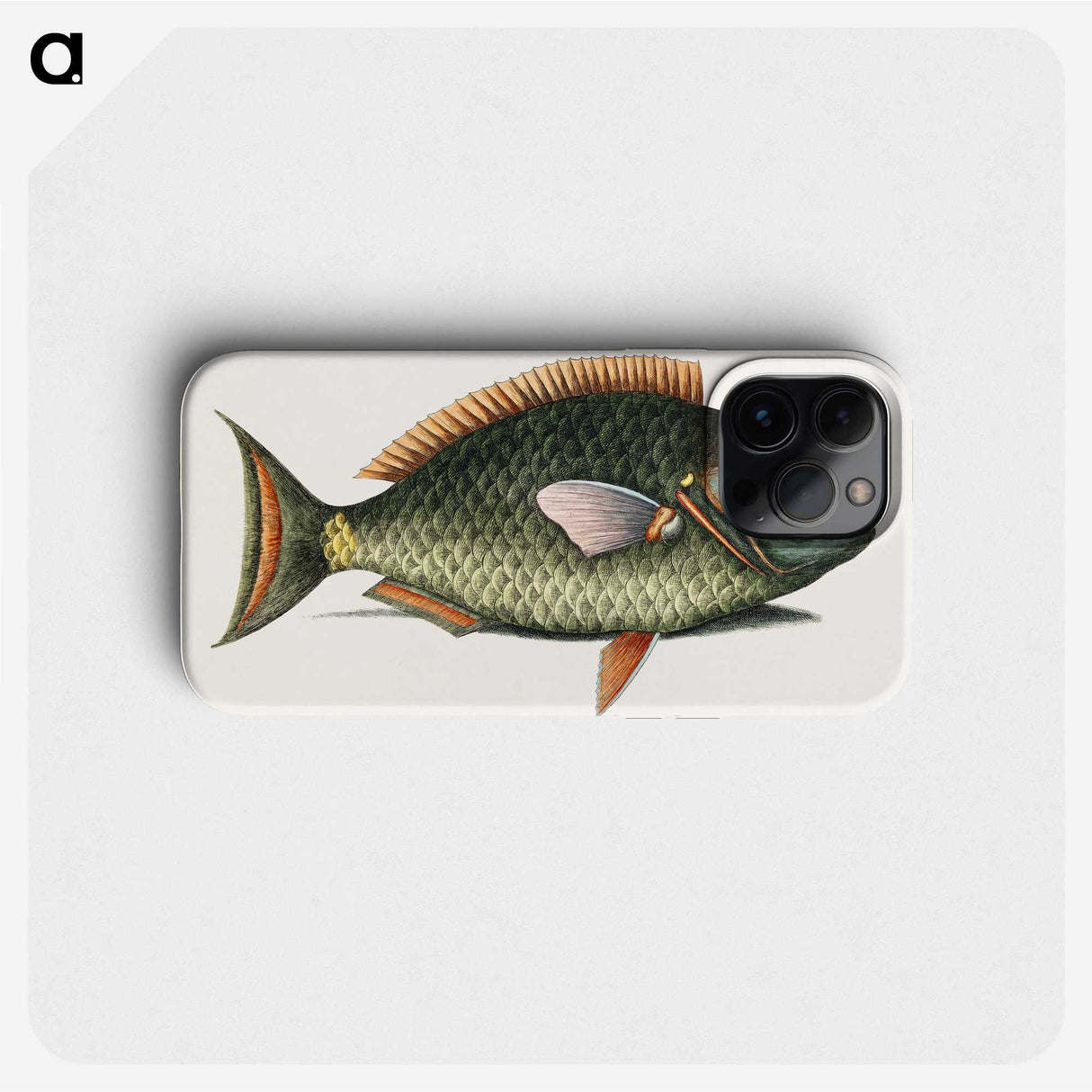 1-8_Mark-Catesby_phone