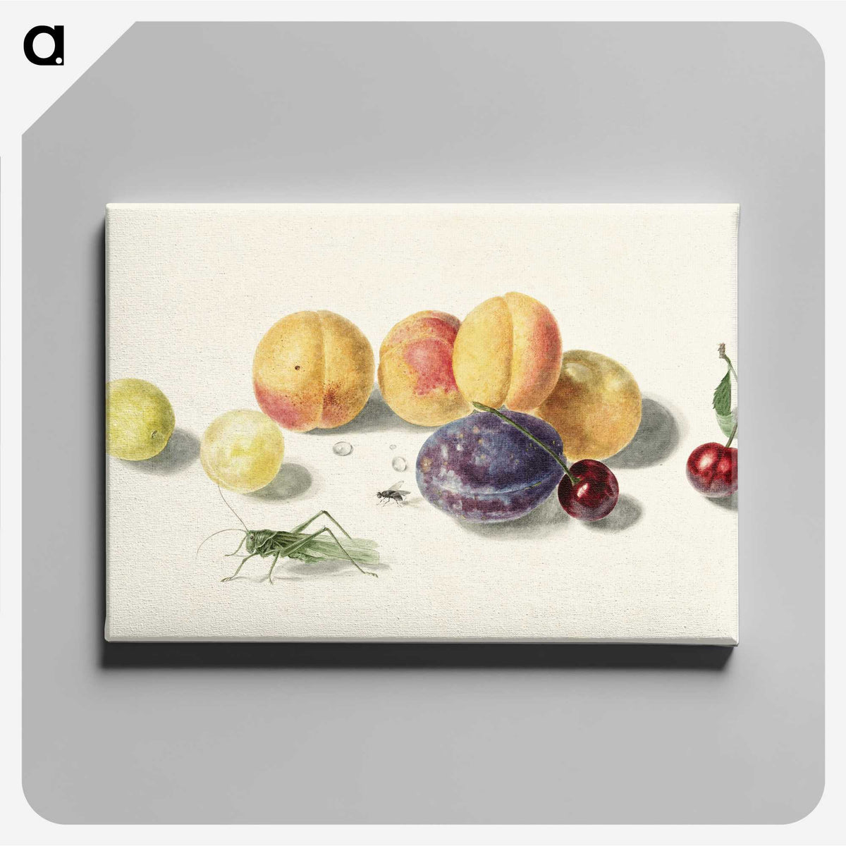 1-8_Michiel-van-Huysum_canvas
